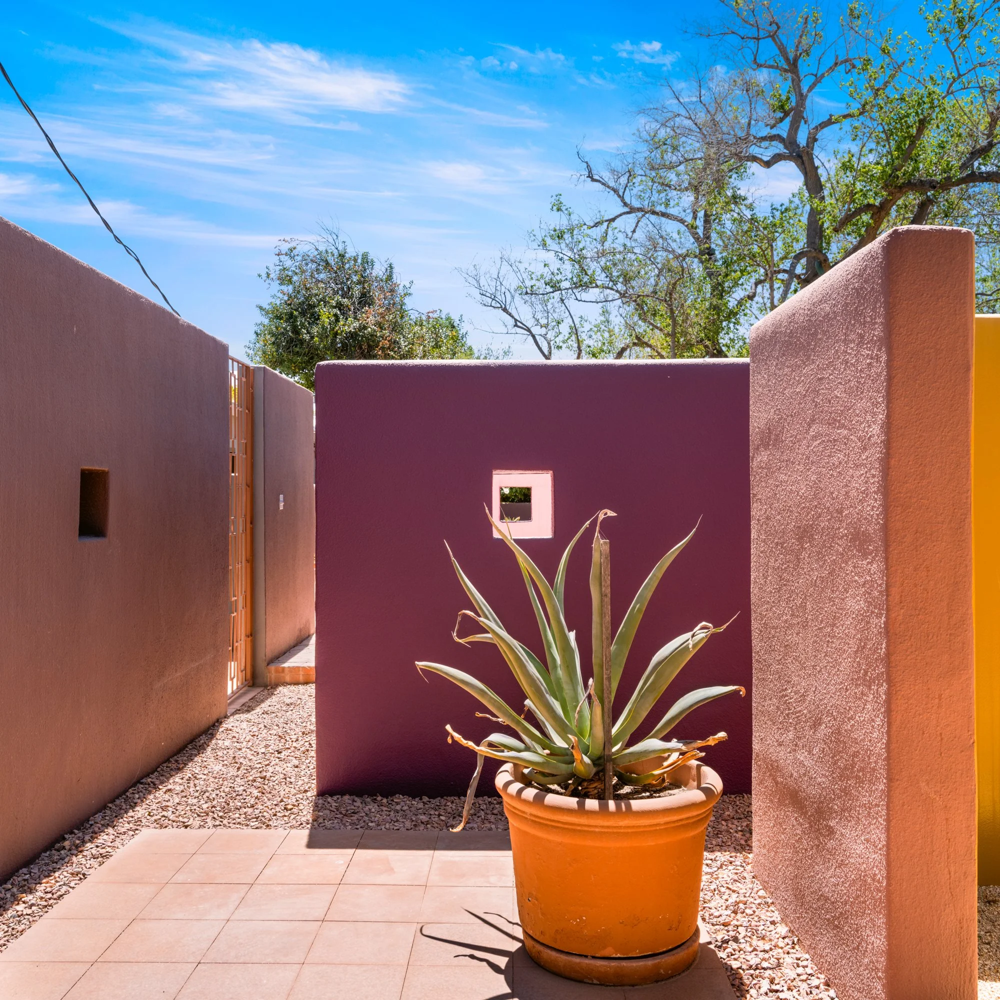 MLS Camera Guy (94 of 110).jpg