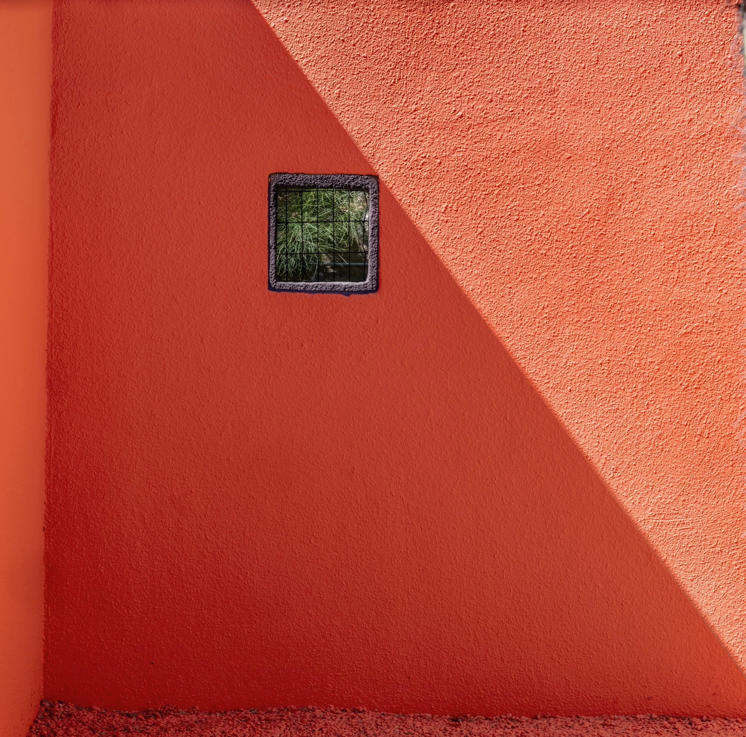 MLS Camera Guy-13.jpg