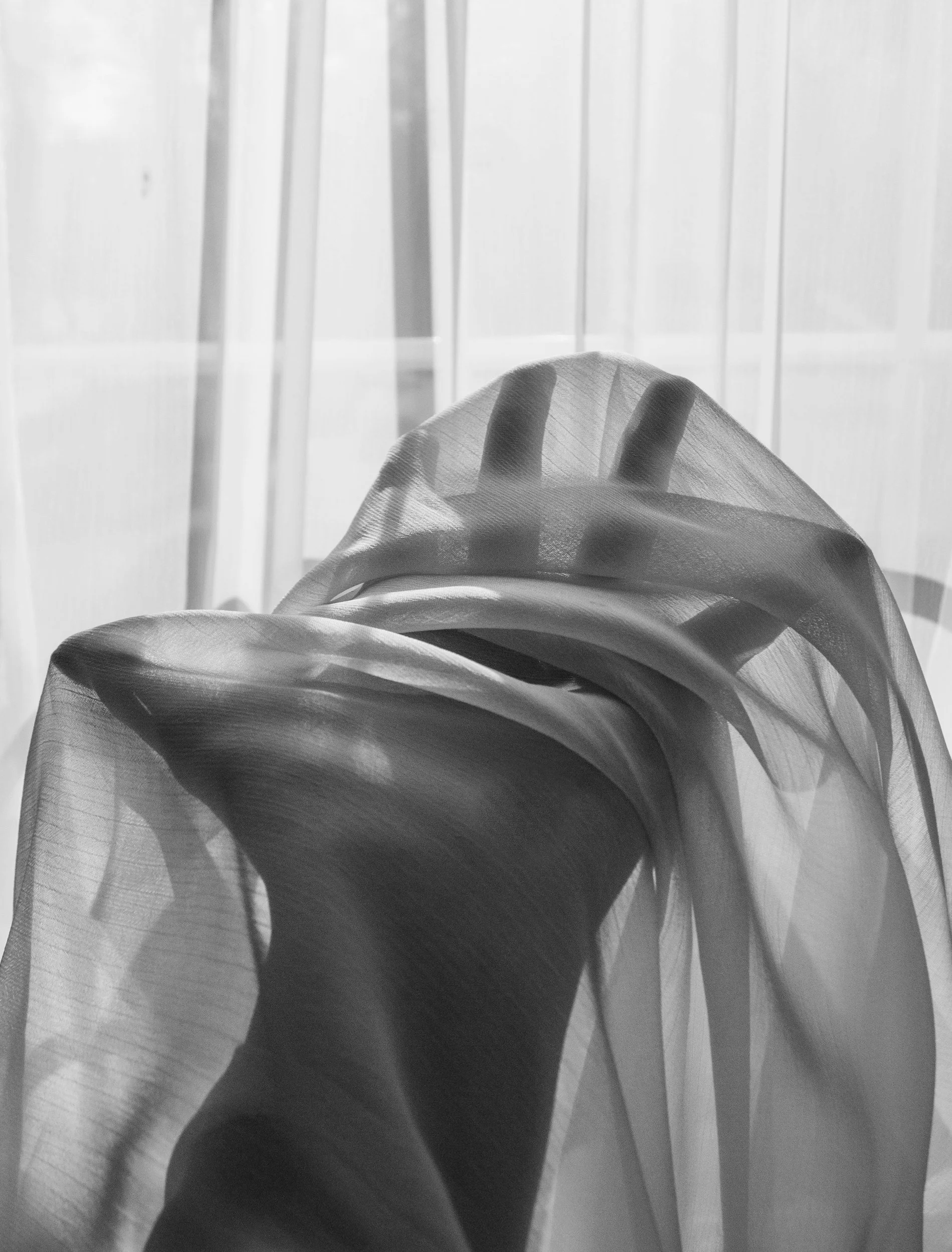 Black and white close-up of a large, tropical leaf with sunlight casting shadows on its surface, set against a wood-paneled wall with vertical planks.