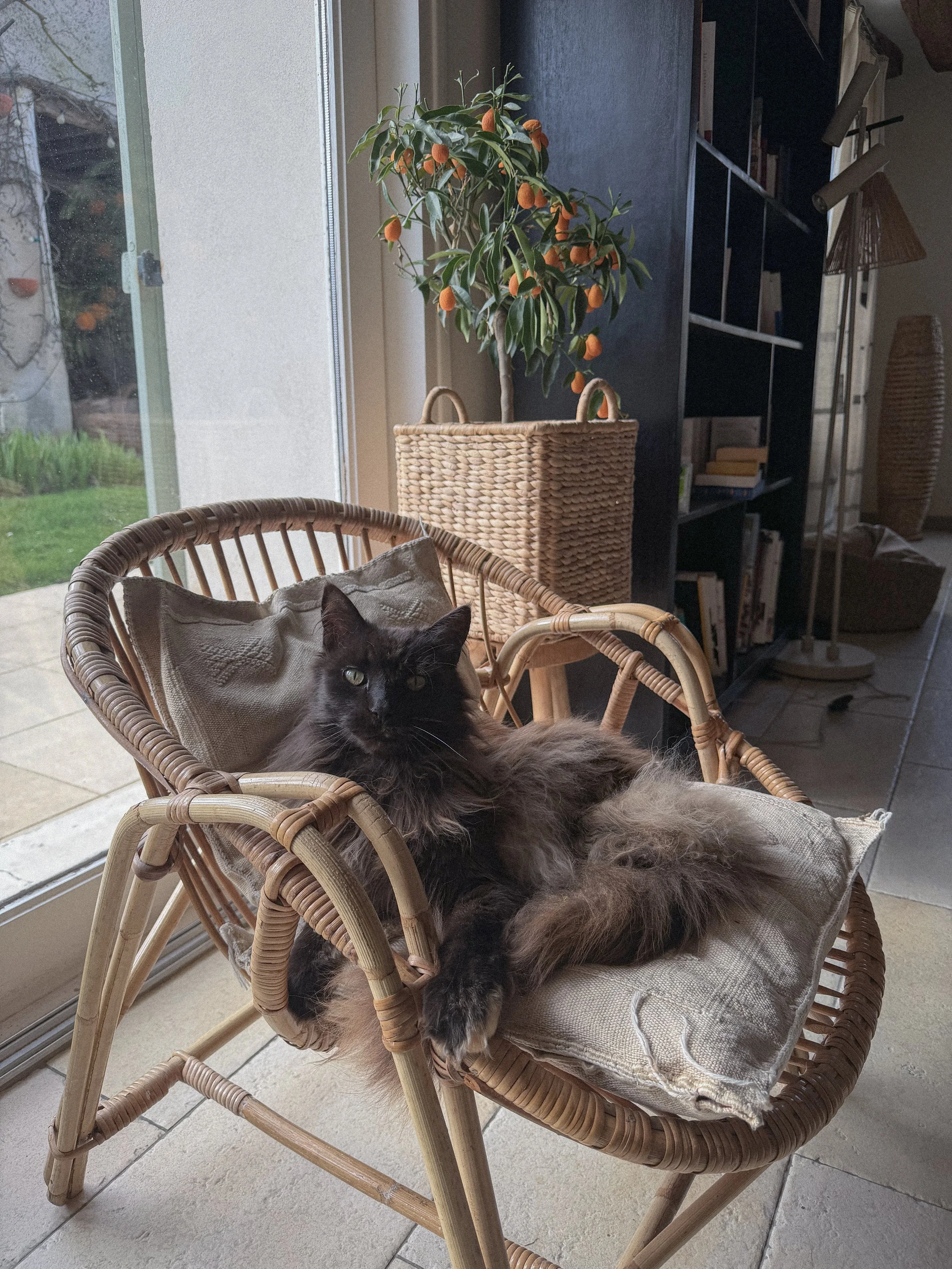 QAIROS Agency — talent management and creator representation - Mascot