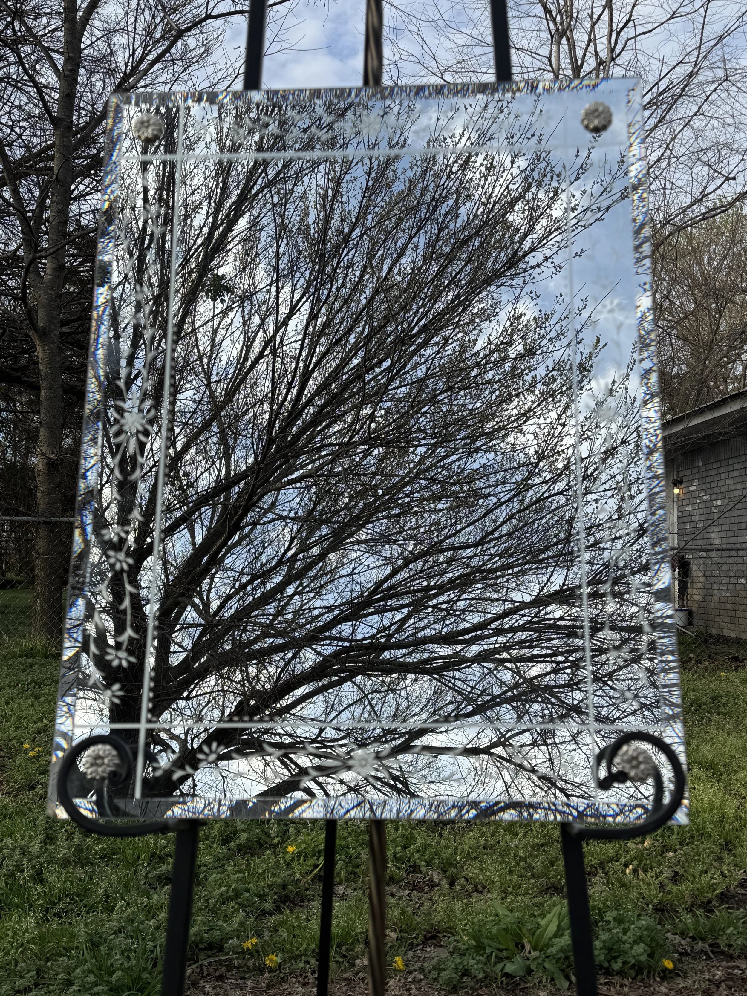 IMG_3563.jpeg
