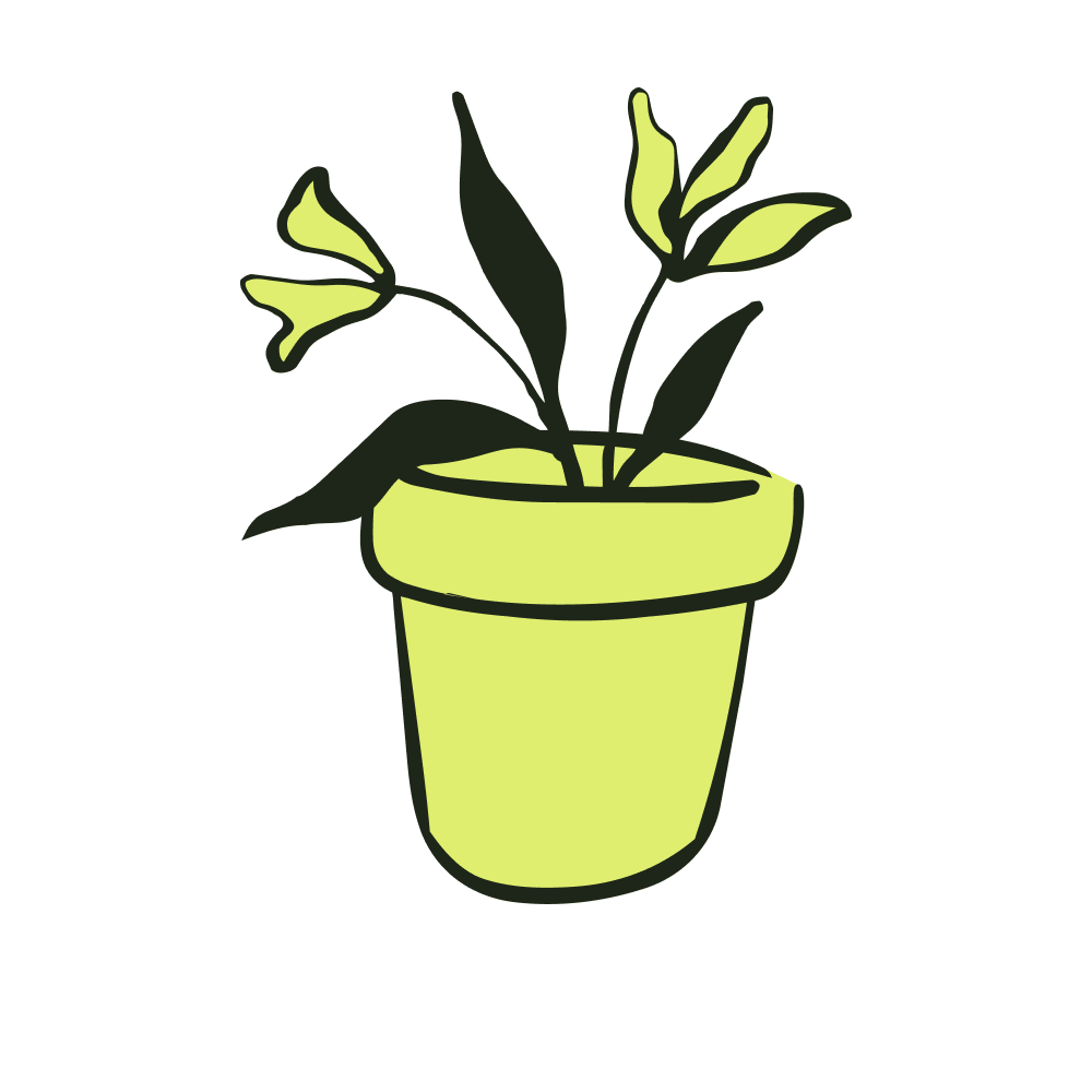 A simple illustration of a potted plant with green leaves in a light green pot.