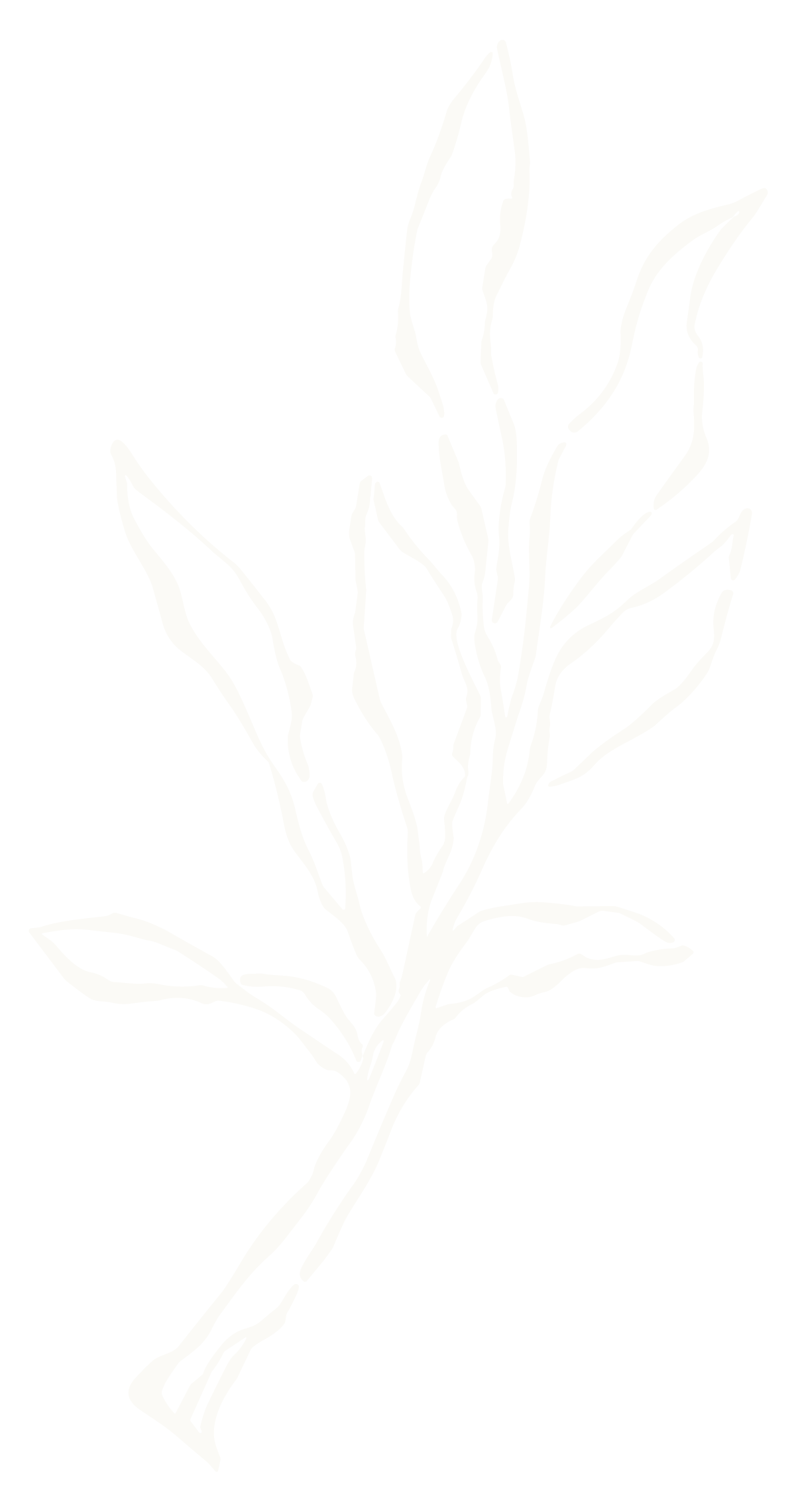 A black and white illustration of a branch with multiple elongated leaves.