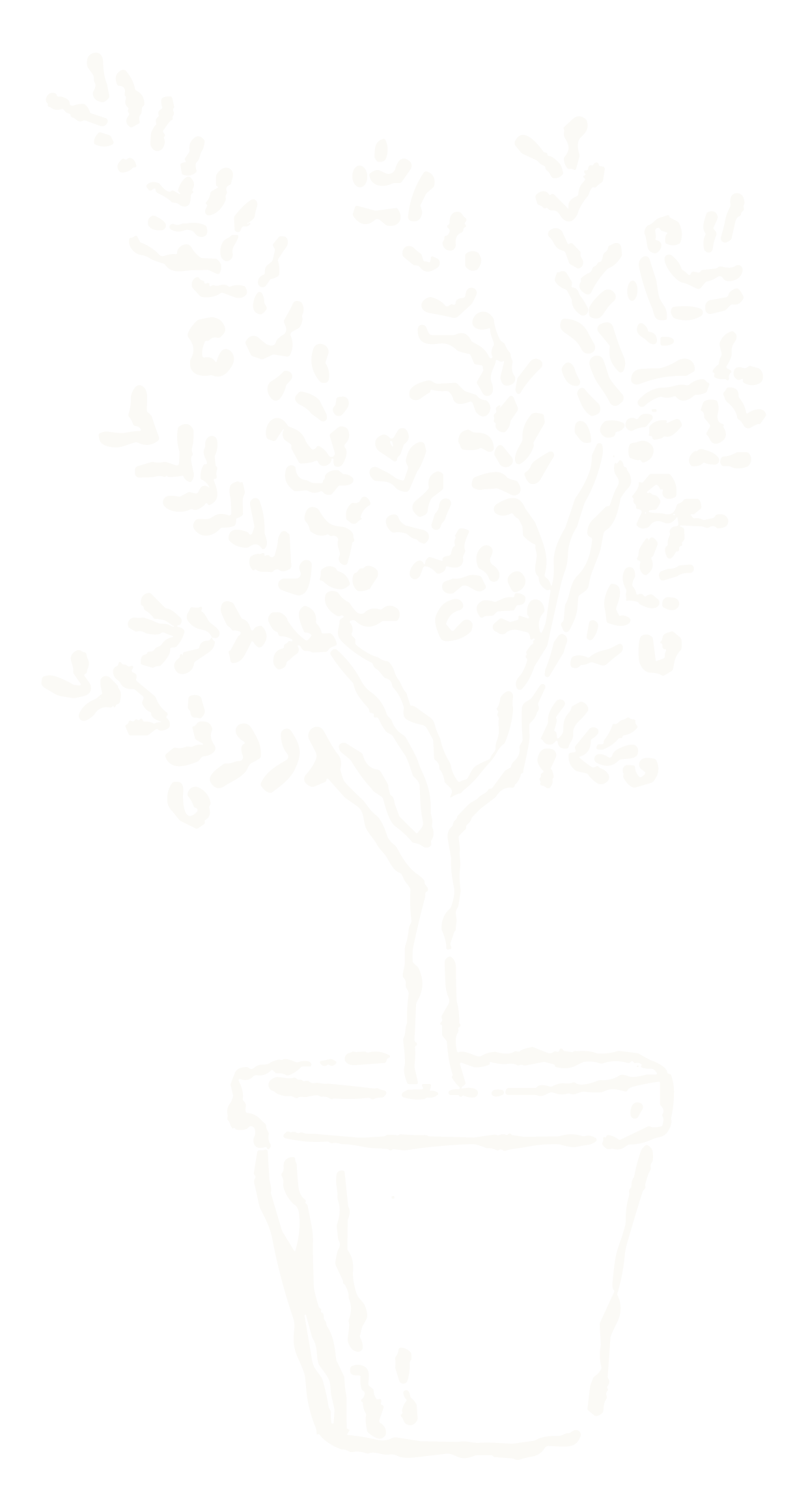 Black and white illustration of a potted plant with multiple branches and leaves.