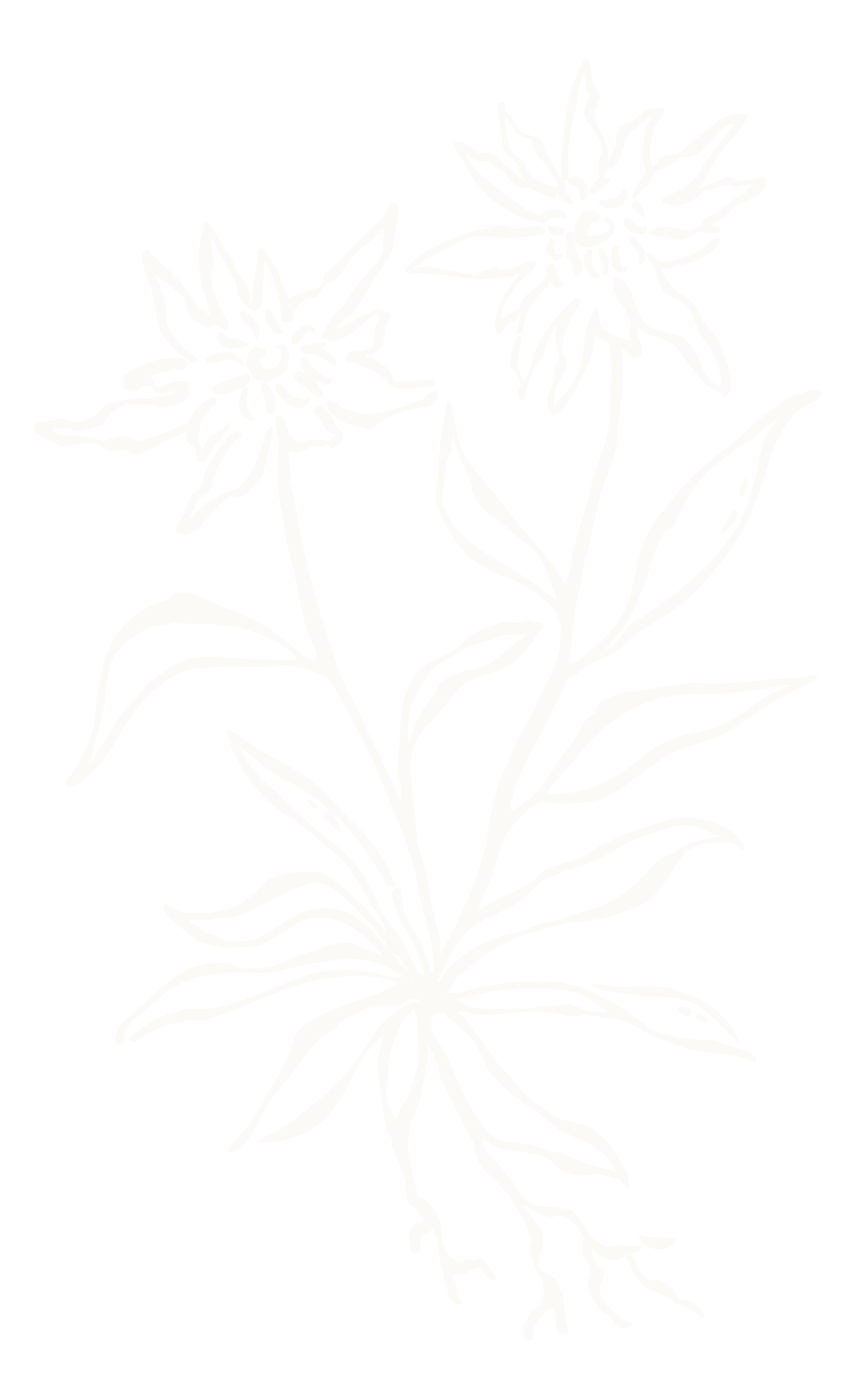 White line drawing of a flowering plant with two flowers, leaves, and roots on a black background.
