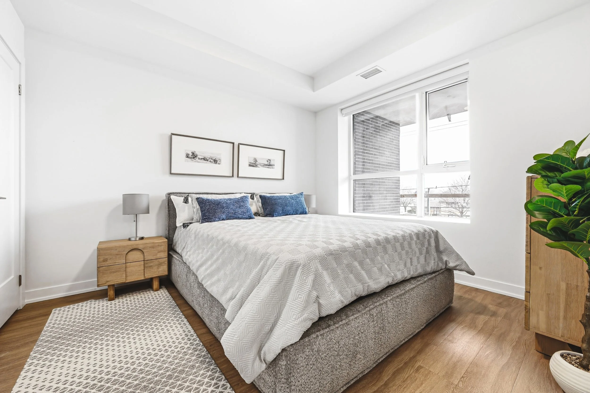 A bedroom with a large bed, two blue pillows, and a wooden nightstand with a lamp. There is a colorful rug on the hardwood floor, artwork above the bed, a large window letting in natural light, and a potted plant in the corner.