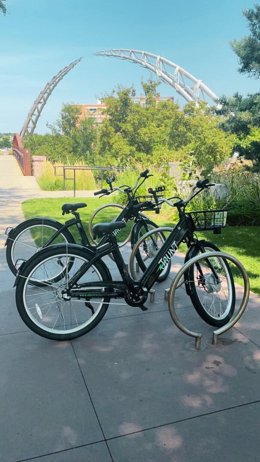 Two electric bikes parked at a bike rack outside with trees and a roller coaster in the background.