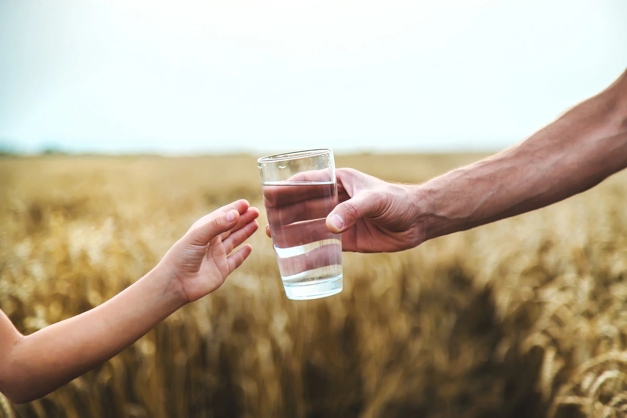 A person is giving a glass of water to a child in a wheat field.