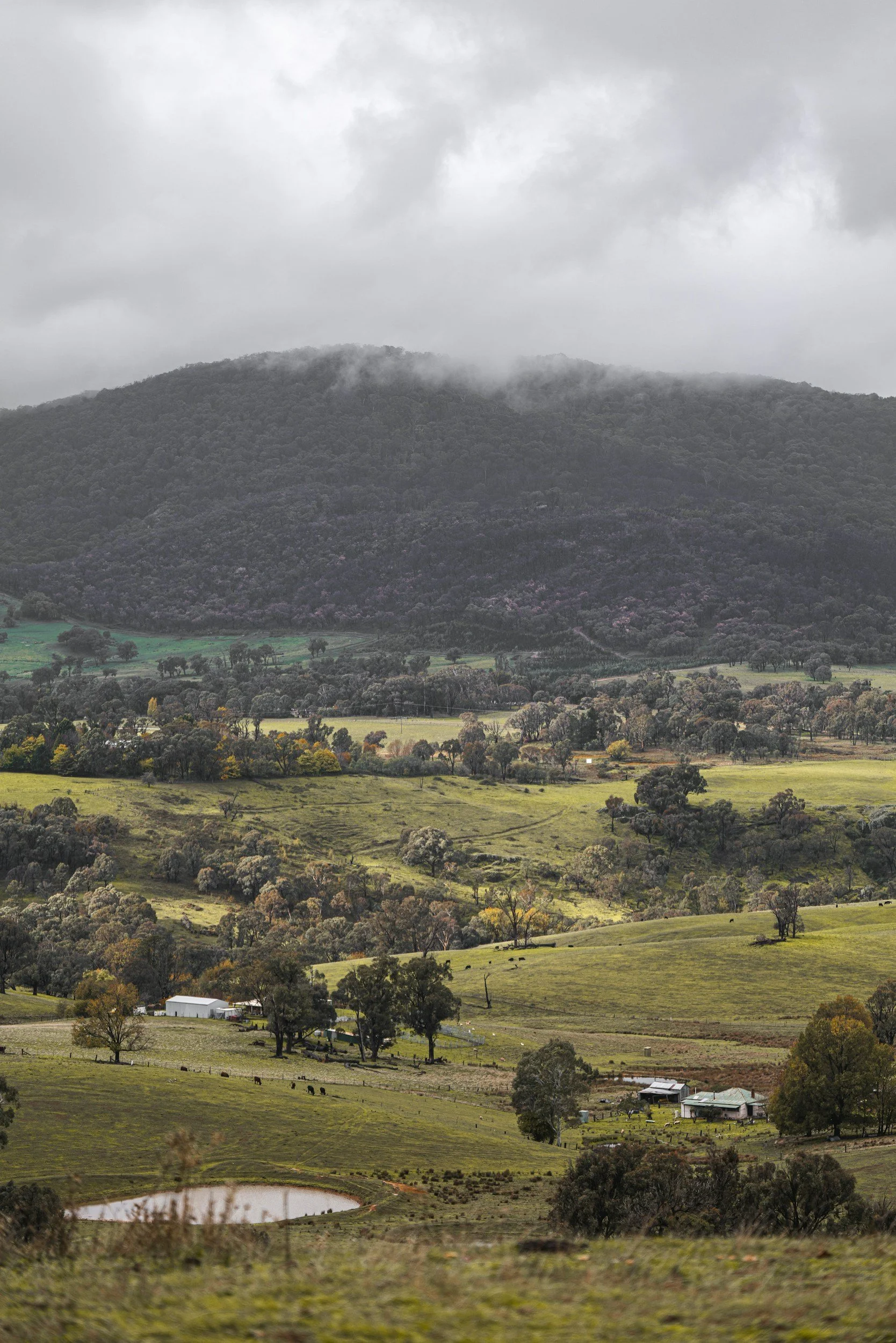 What water tests do you need before buying a rural property in Australia?