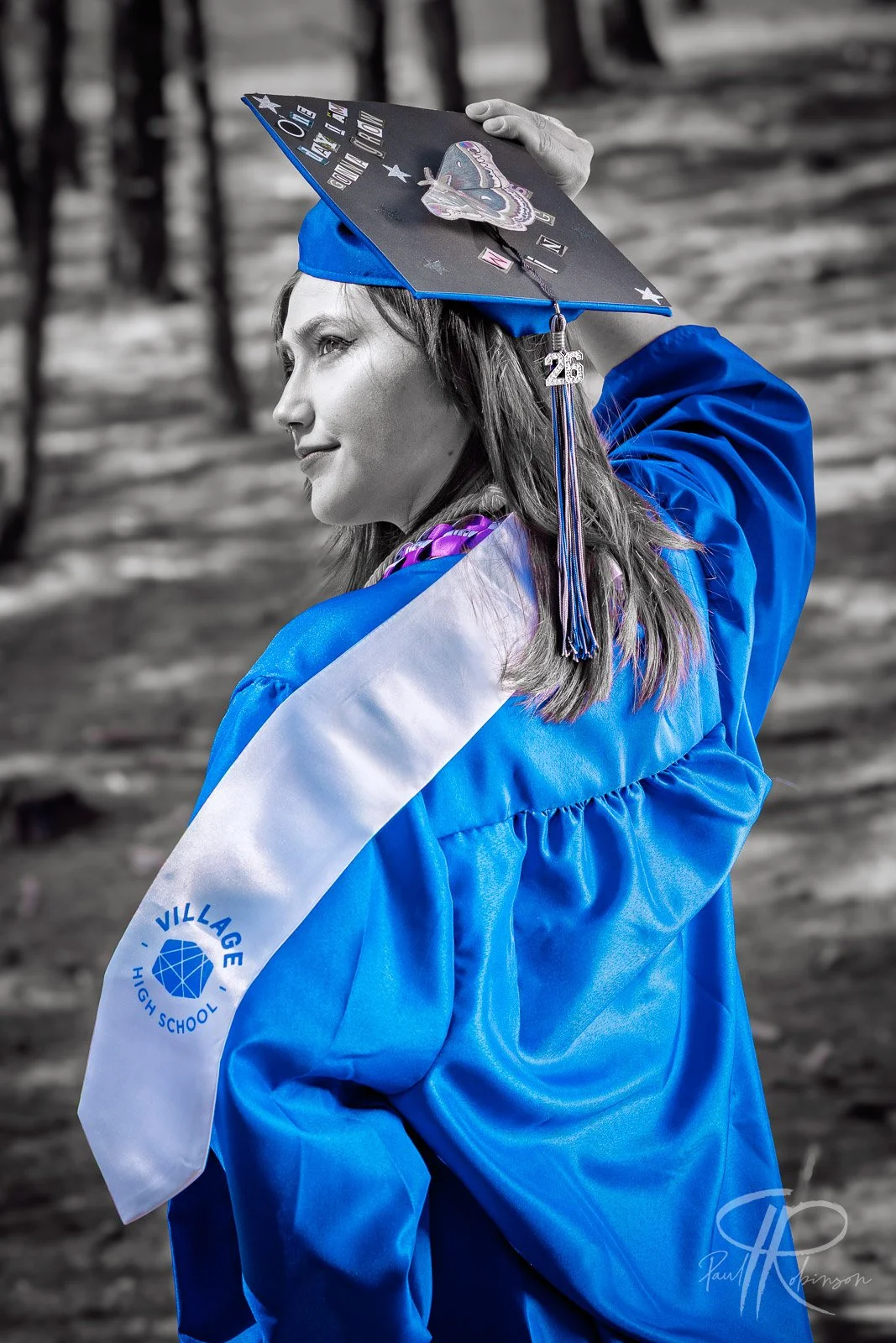 20260510_ELastSrGrad_360.jpg
