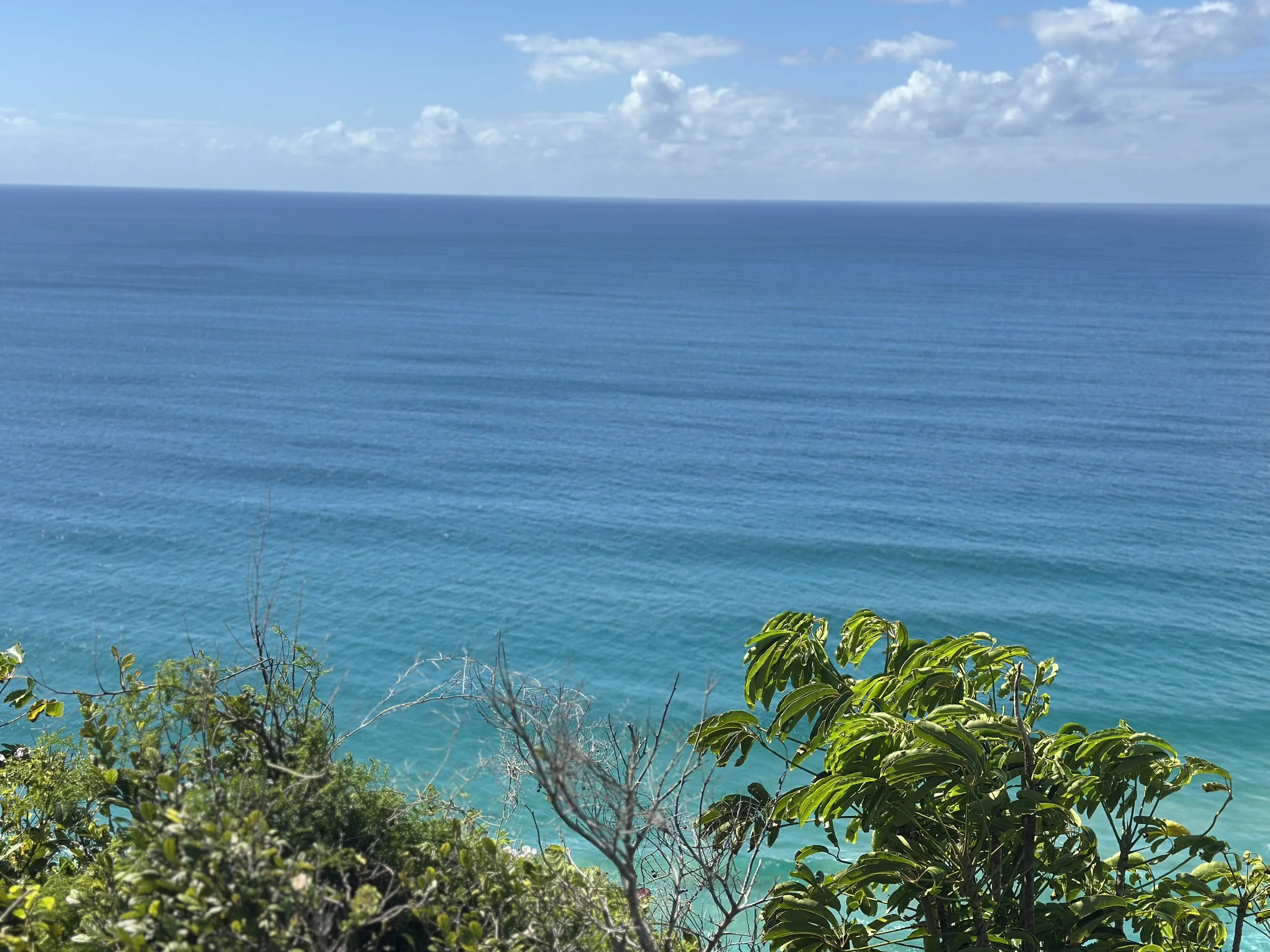 Ocean view with blue water and sky, green plants and foliage in the foreground.