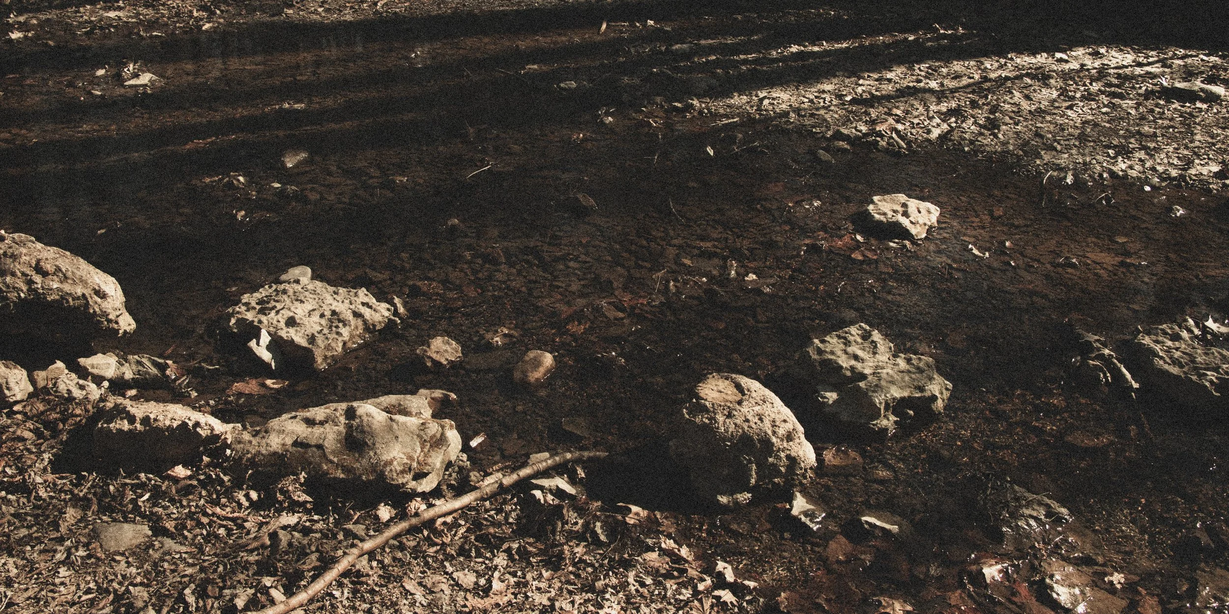 Charred ground with scattered rocks and debris, indicating a recent fire or burn site.