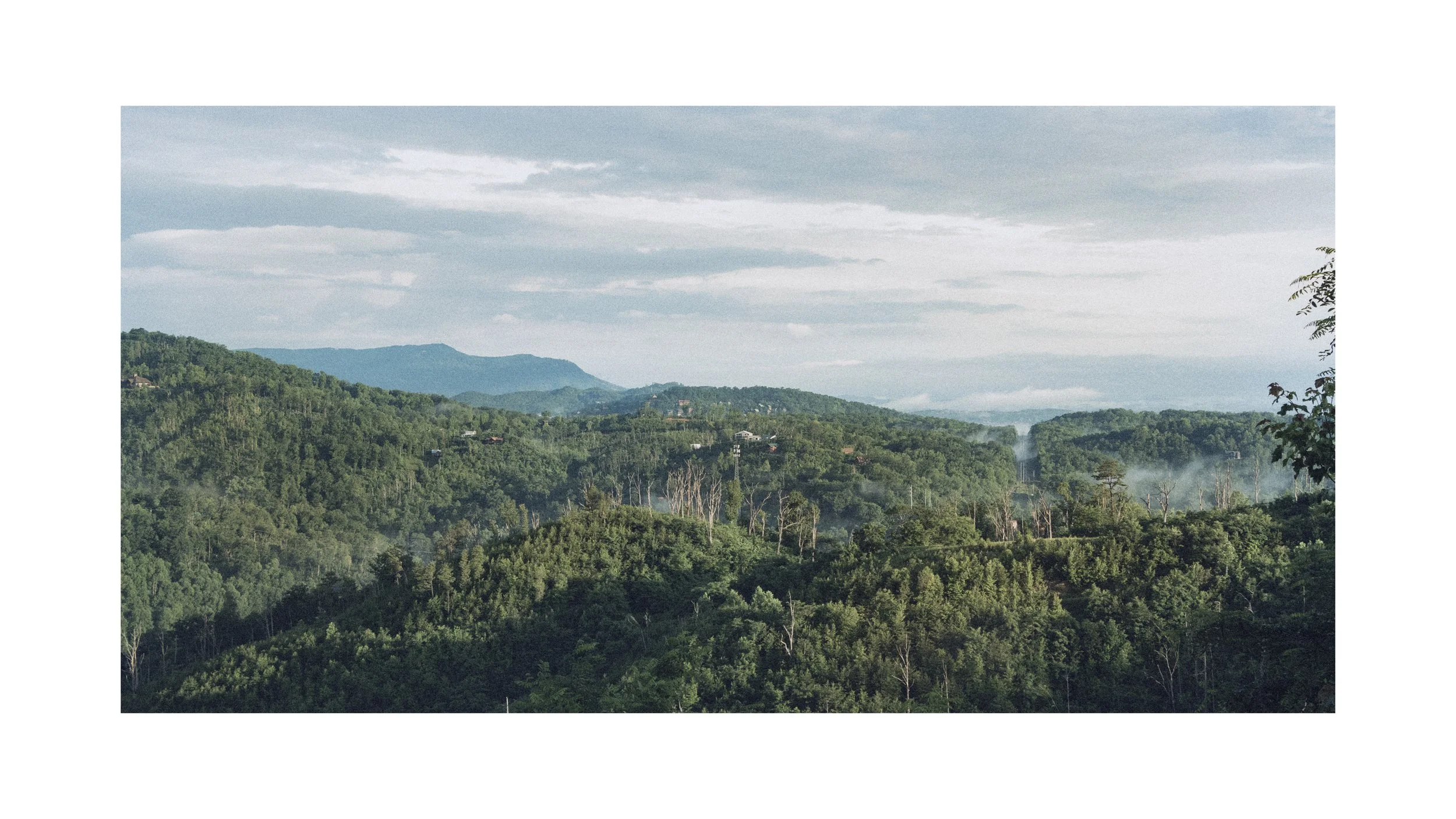 Untitled-50.jpg