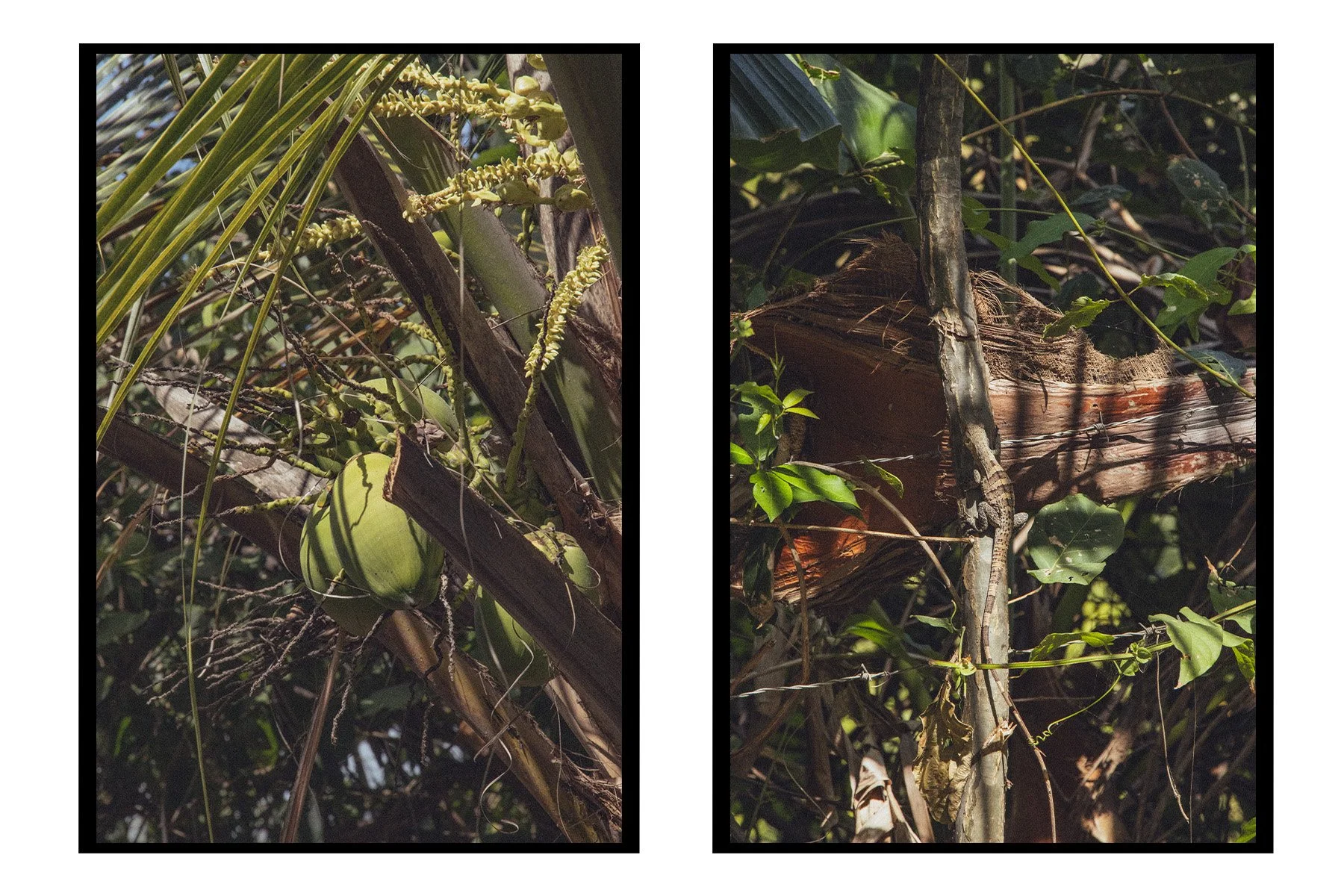 Untitled-5.jpg