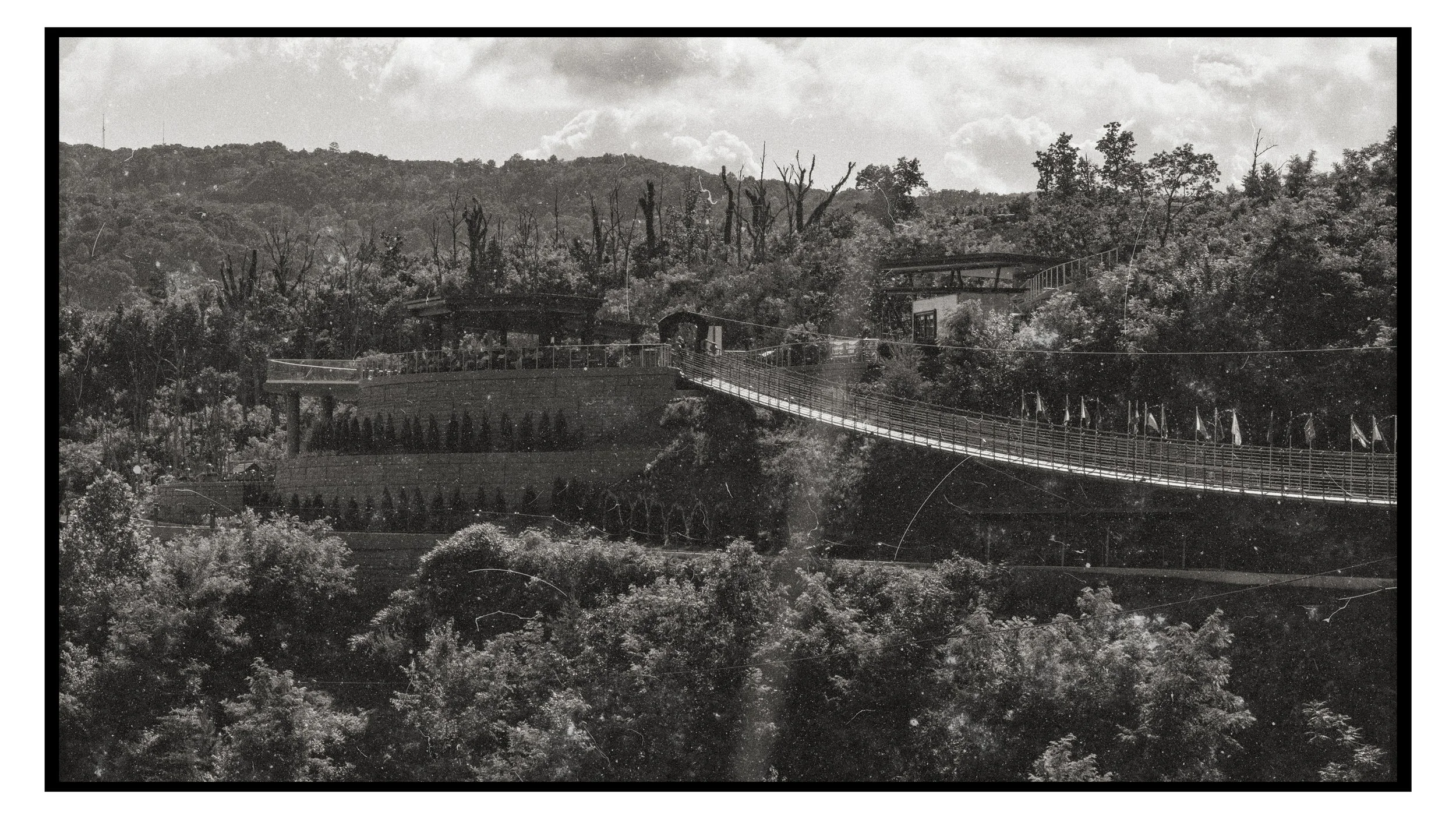 Black and white photo of a suspension bridge stretching across a forested hillside with trees and clouds in the background.