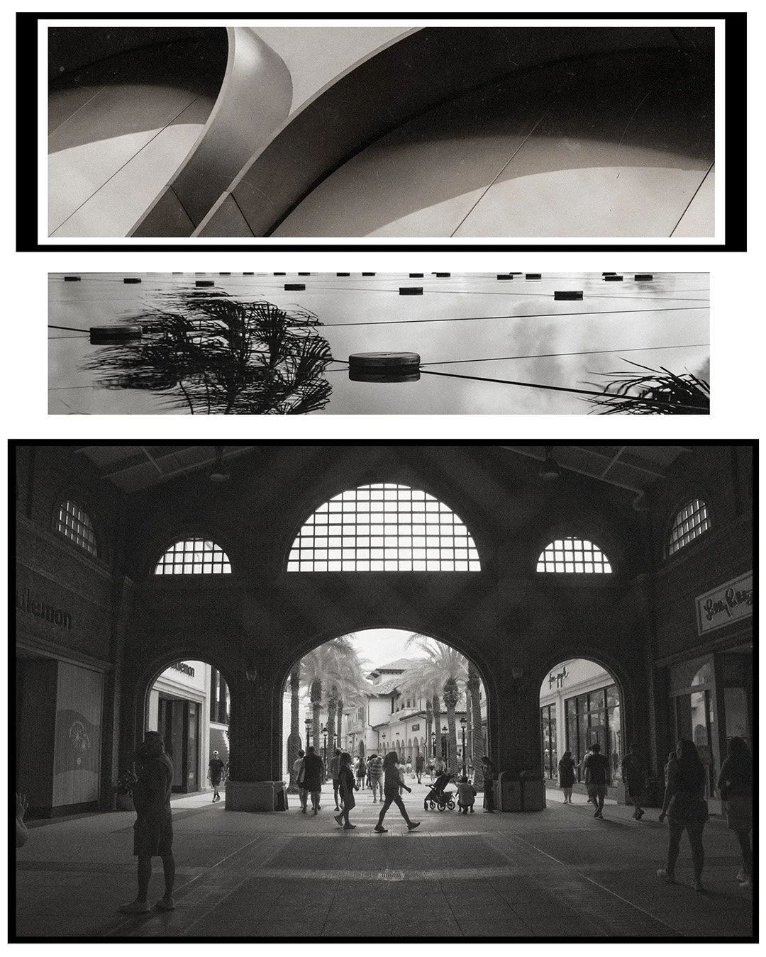 Three black-and-white photographs arranged vertically:  the top shows close-up of a modern architectural structure with curved lines and smooth surfaces; the middle depicts a calm body of water with a reflection of a palm tree and a line of floating 