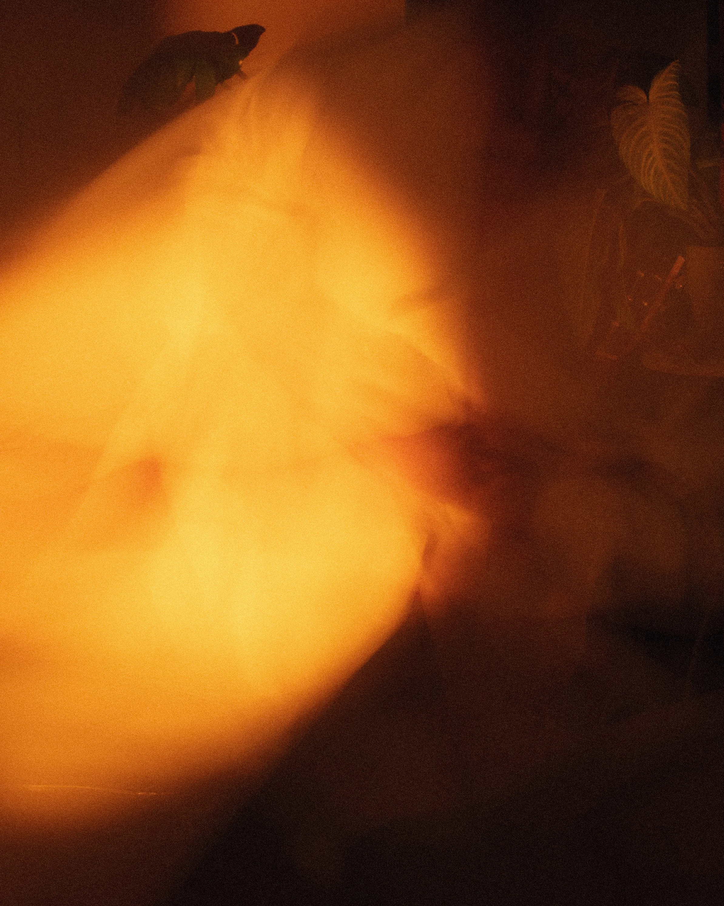 A blurred, warm-toned image of a person's body, possibly in a dimly lit room, with some household items and plants in the background.