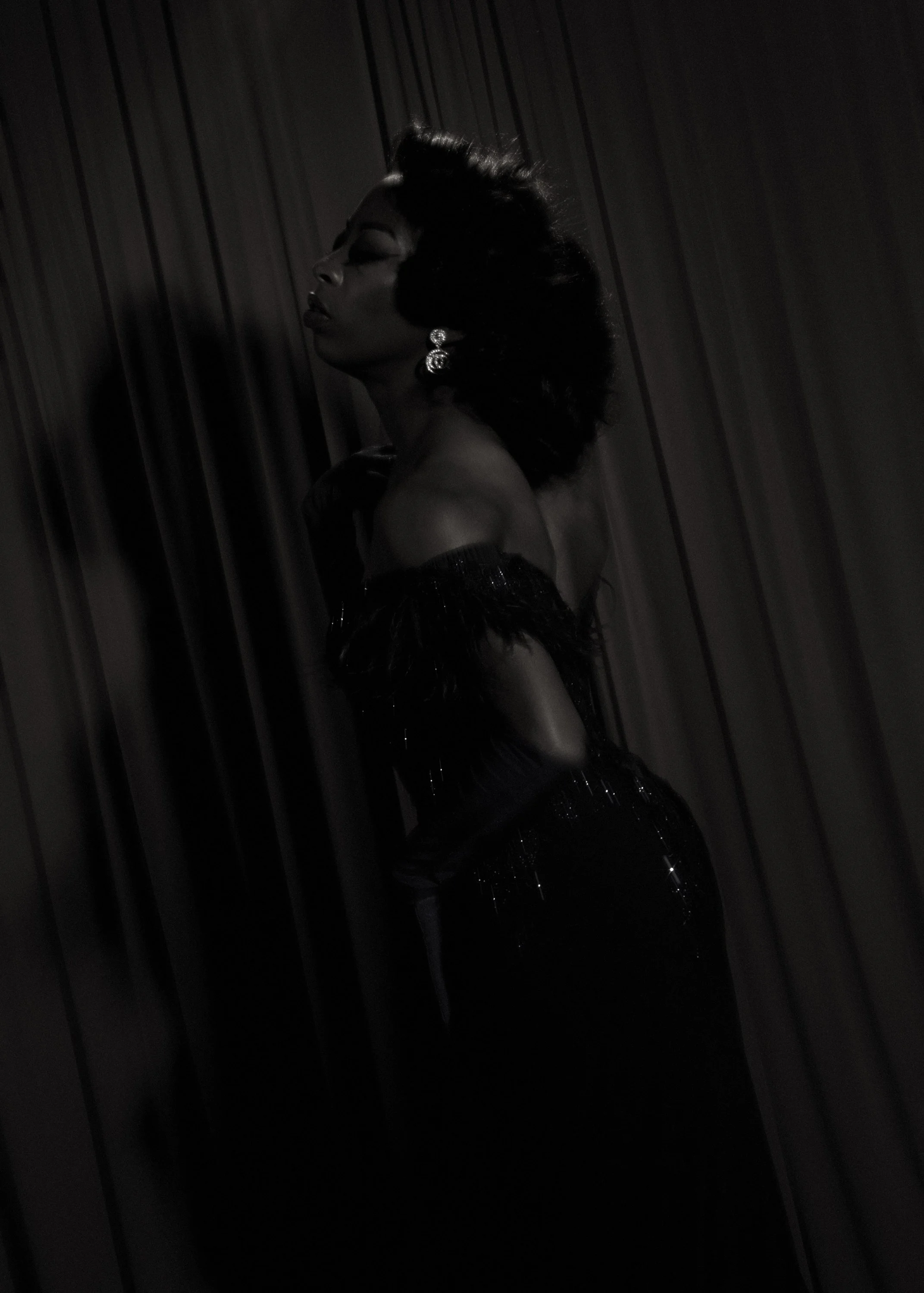 A woman with dark hair styled in an updo, wearing large earrings, and a dress with a sheer, sparkly fabric, is posing against a dark, wood-paneled background.