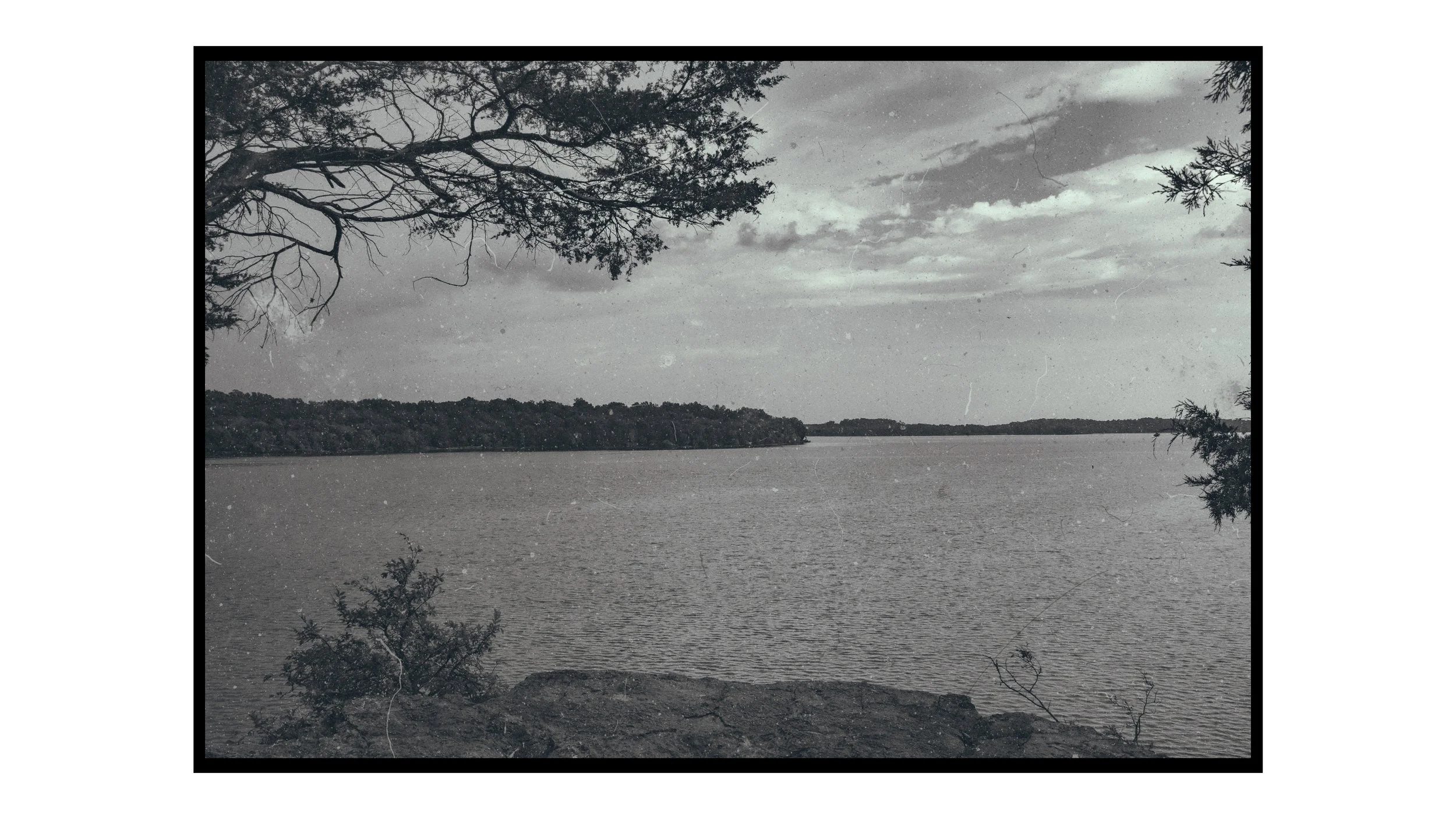 Black and white photograph of a lake with distant shoreline and trees, viewed through overhanging tree branches.