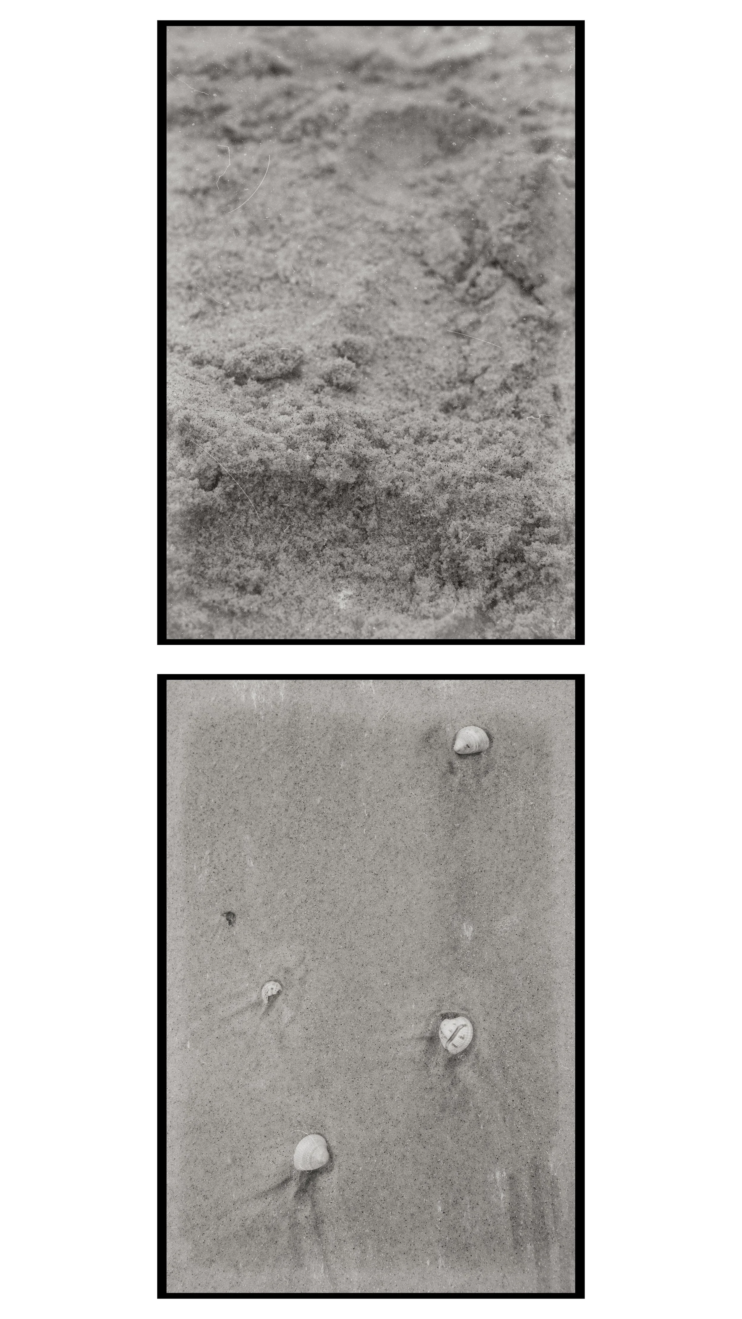 Footprints in the sand on a beach, two different footprints in separate images.