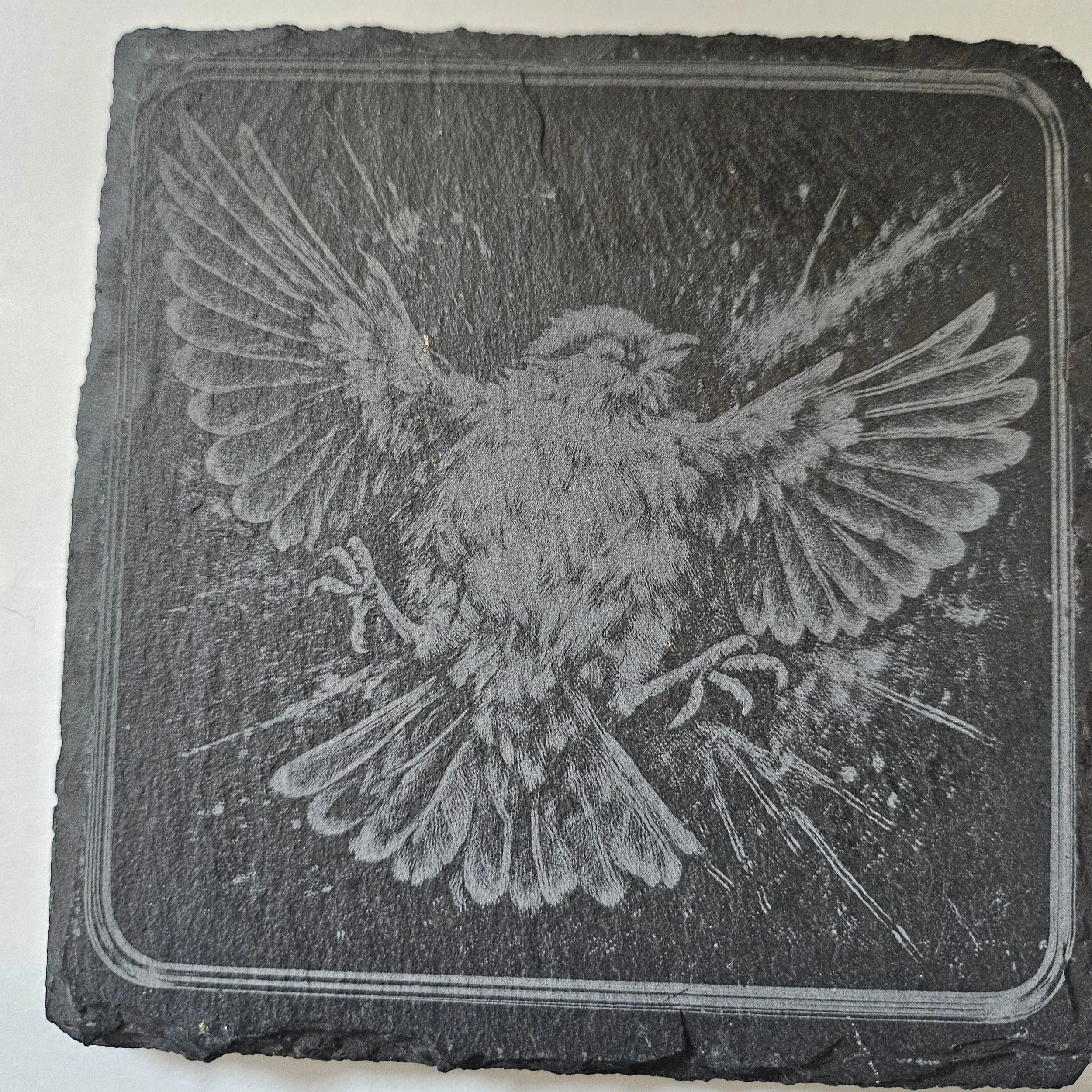 Etched drawing of a bird with its wings spread wide on a textured, dark background.