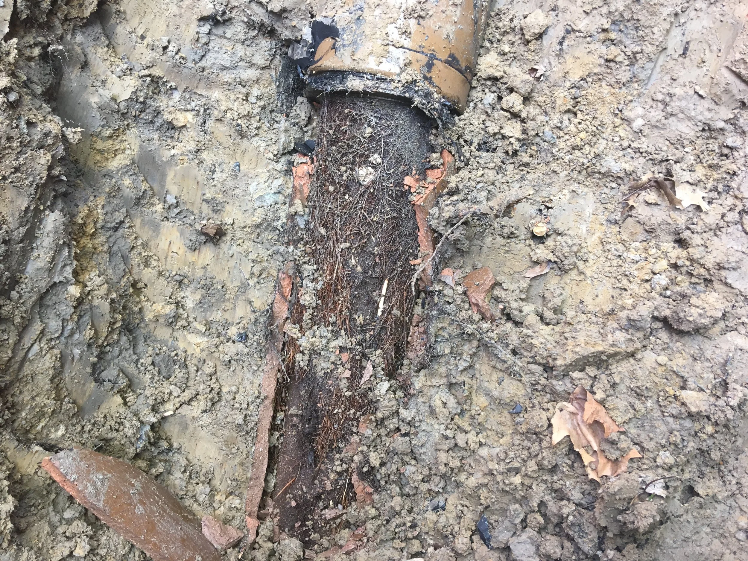 image2 (2).jpeg