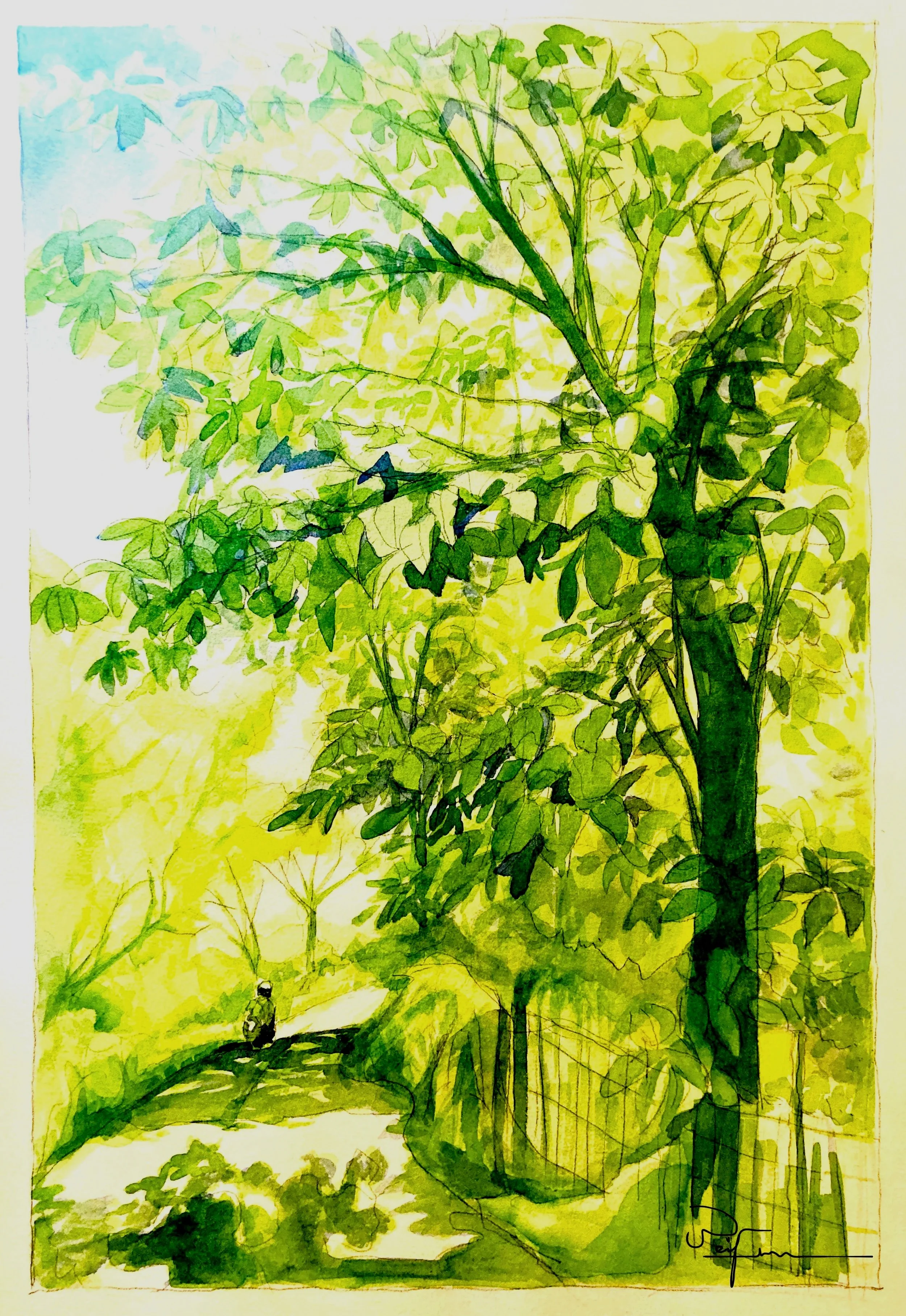 Motocycle ride Green