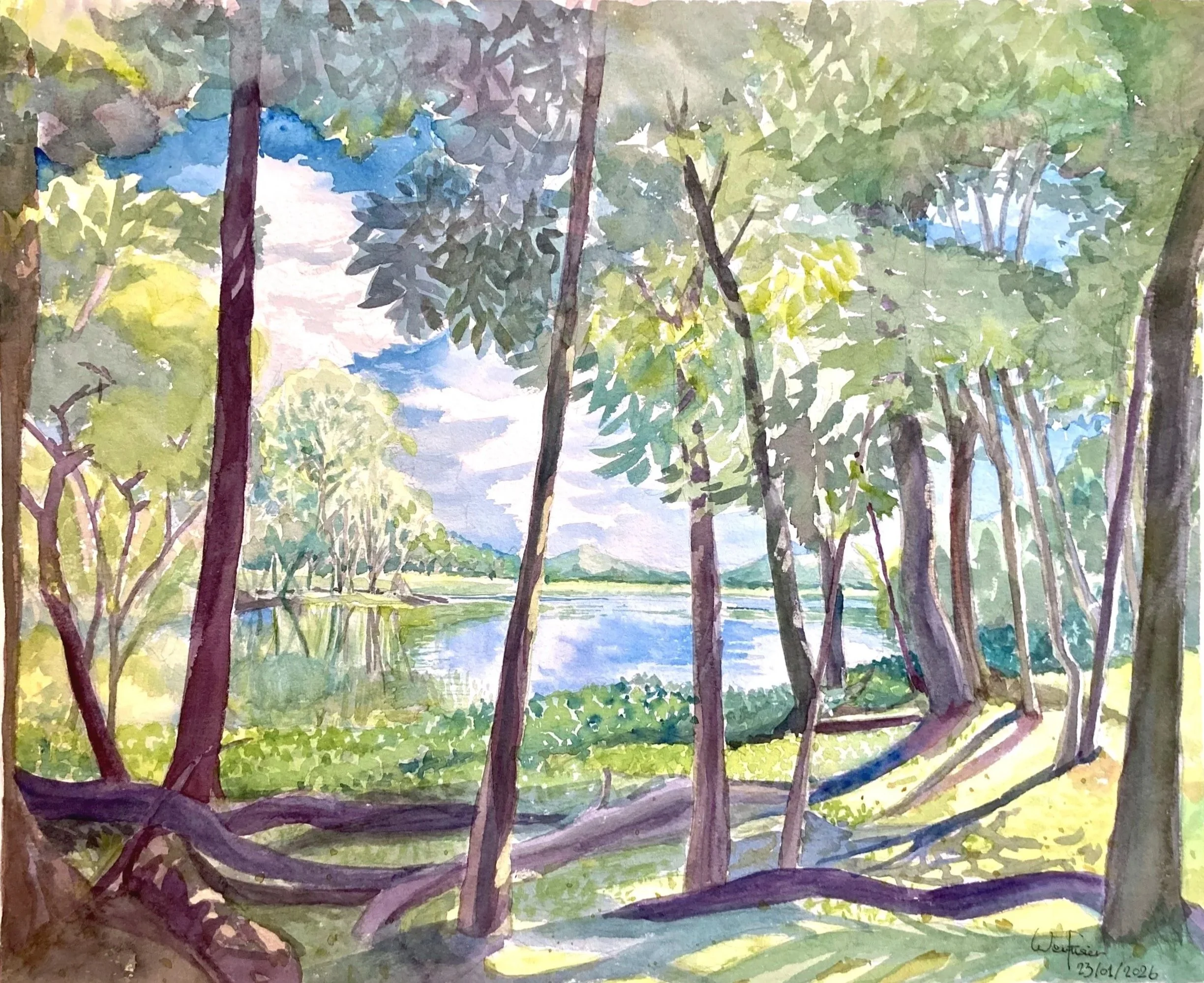 Lake view from forest