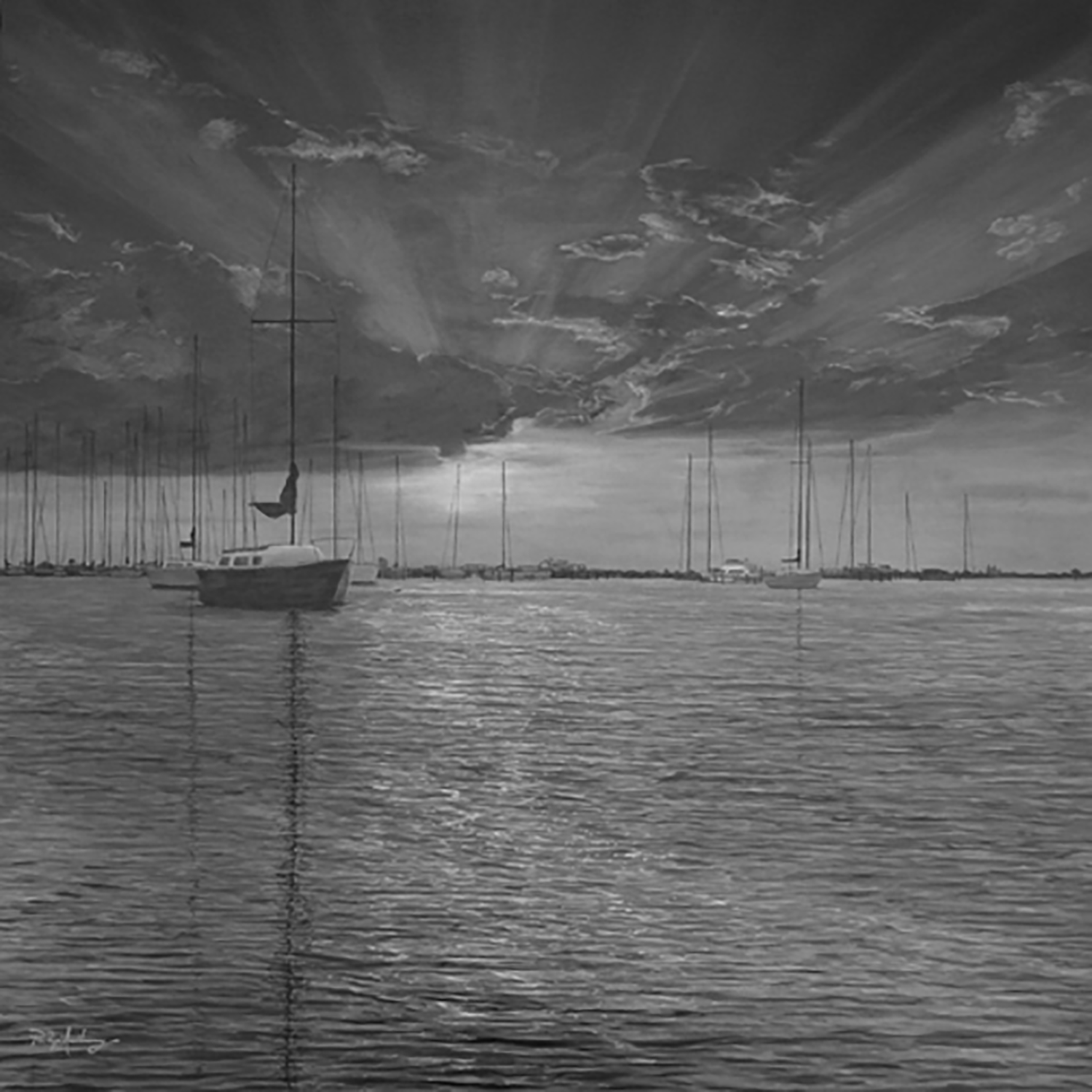PA-Davis-Island-24x24_web.png
