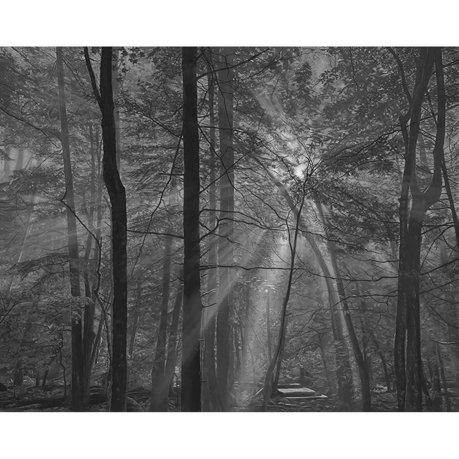 PA-Embracing-The-Light-24x30_web.png