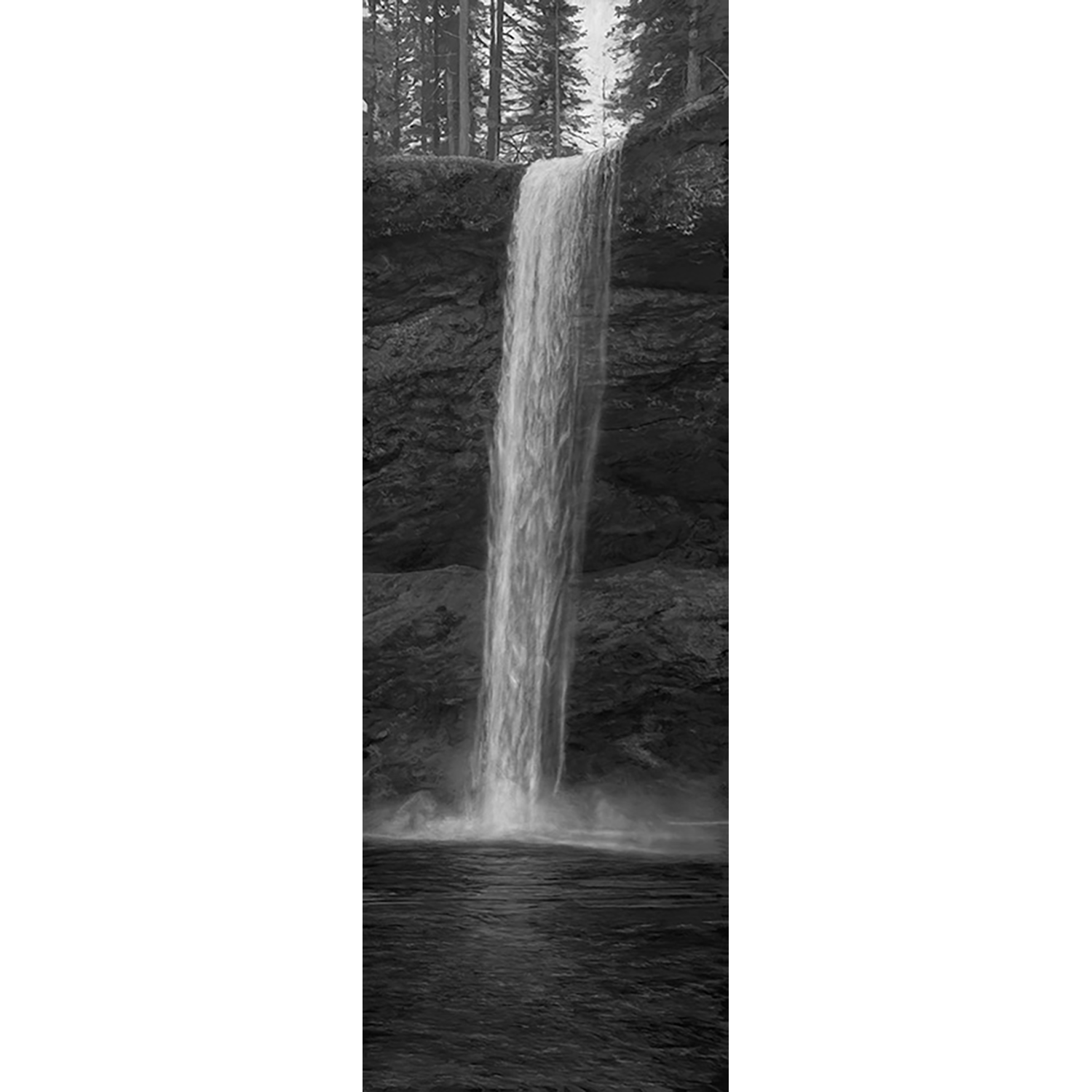 PA-Falling-For-You-12x36_web.png