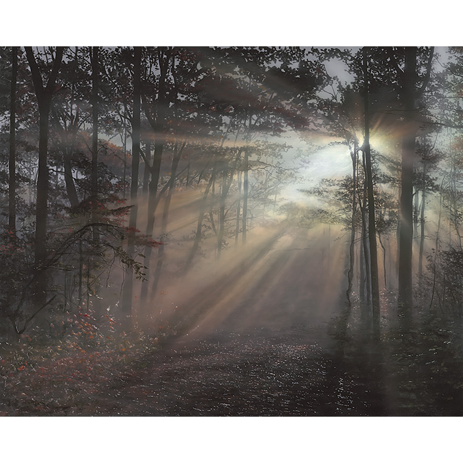 PA-Heavenly-Light-30x24-_web.png
