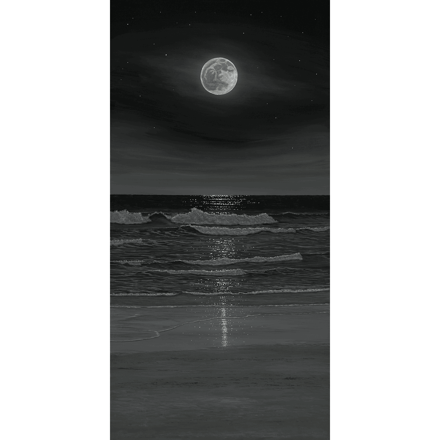 PA-Shining-In-The-Dark-15x30_web.png