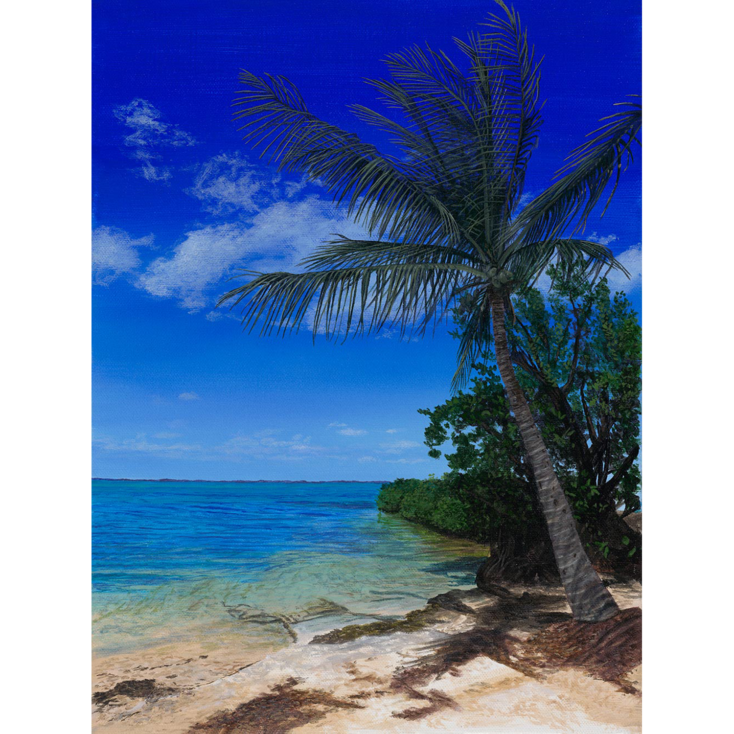 PA-some-beach-some-where-12x16_web.png