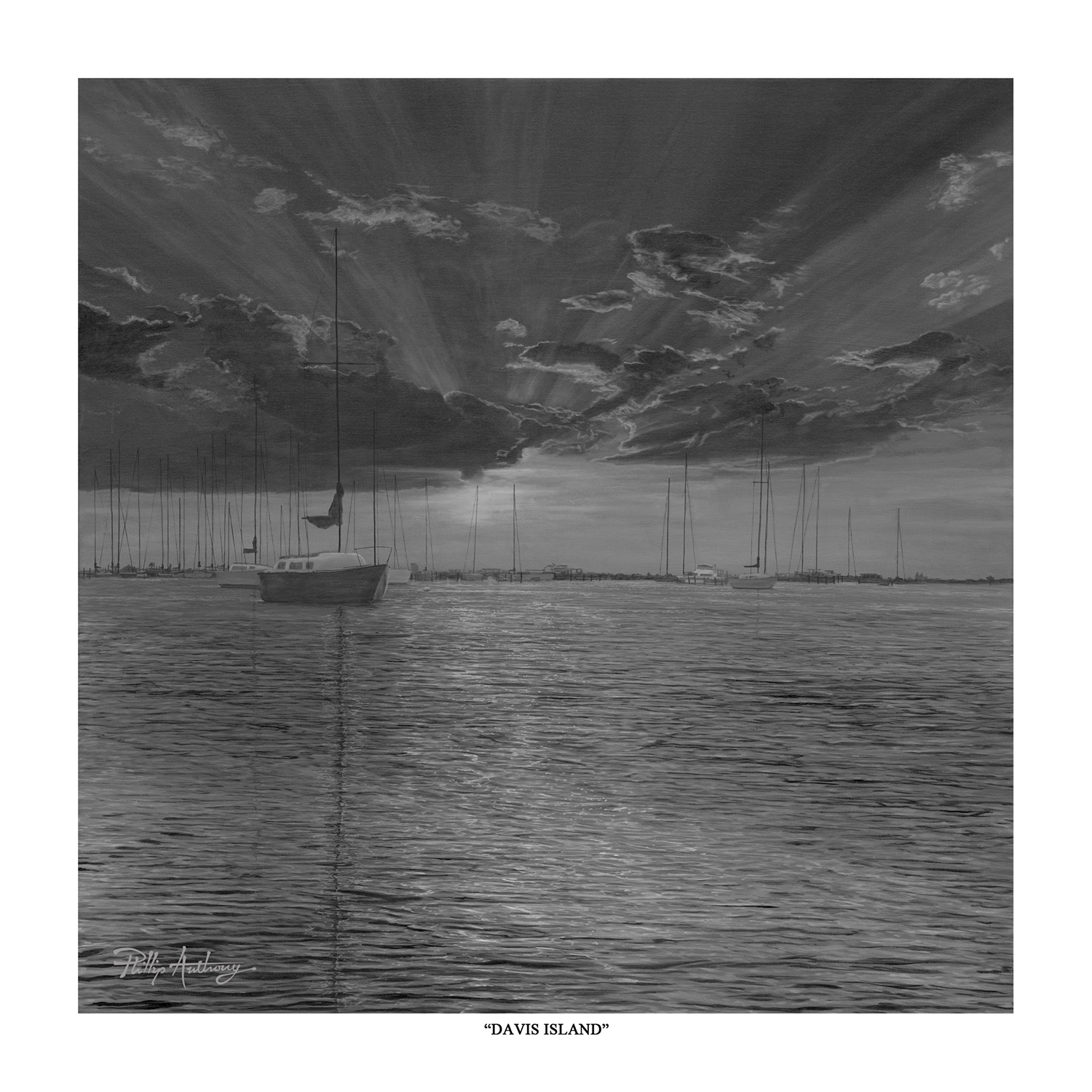 Davis-Island-14x14-PP_web.png