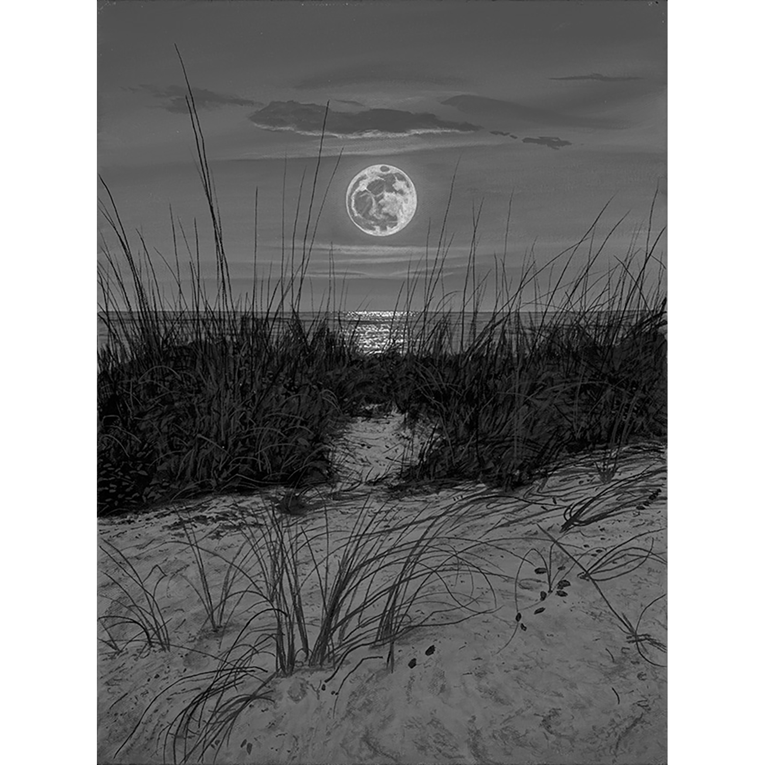 PA-Summer-Winds-11x14_web.png