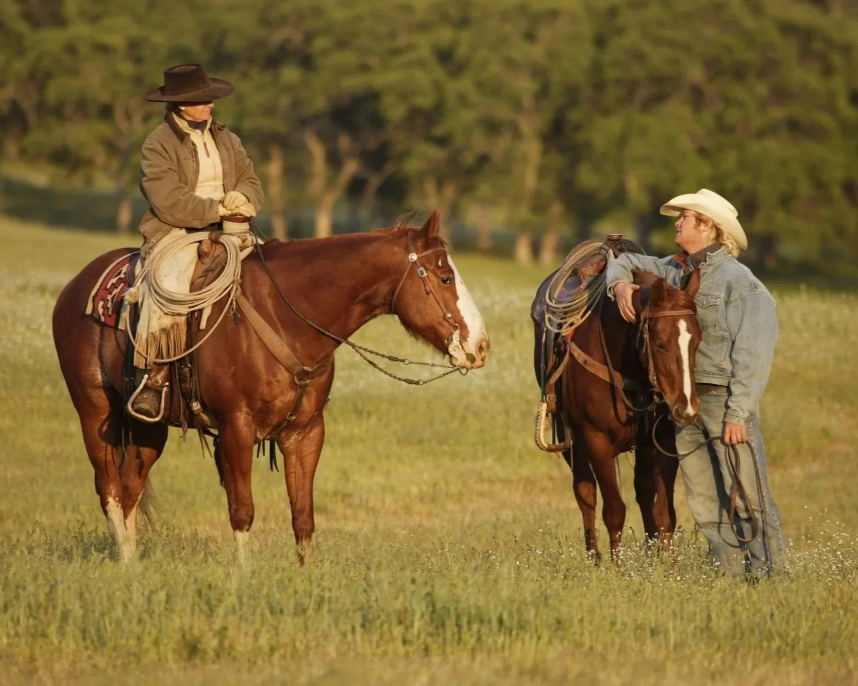 Two people on horseback talking in a field in the west