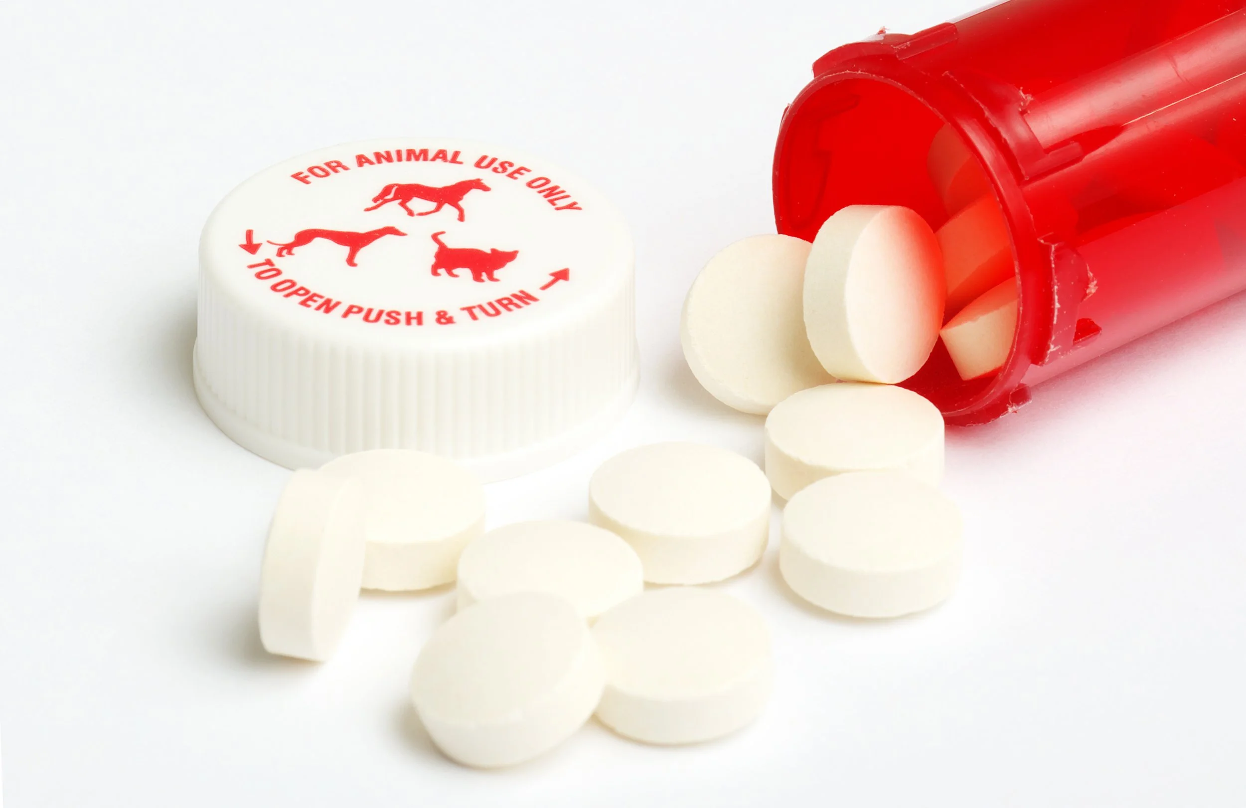 A red vial of probiotics for horses with the cap removed
