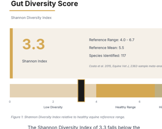 An example of an Equine Hindgut Health report and analysis highlight the Gut Diversity Score