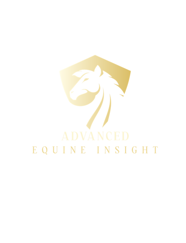 Newer_Product-Logo_AEI_v2.png