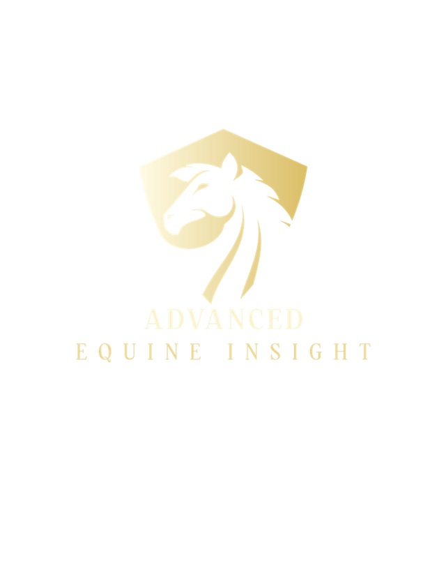 Newer_Product-Logo_AEI_v2.png