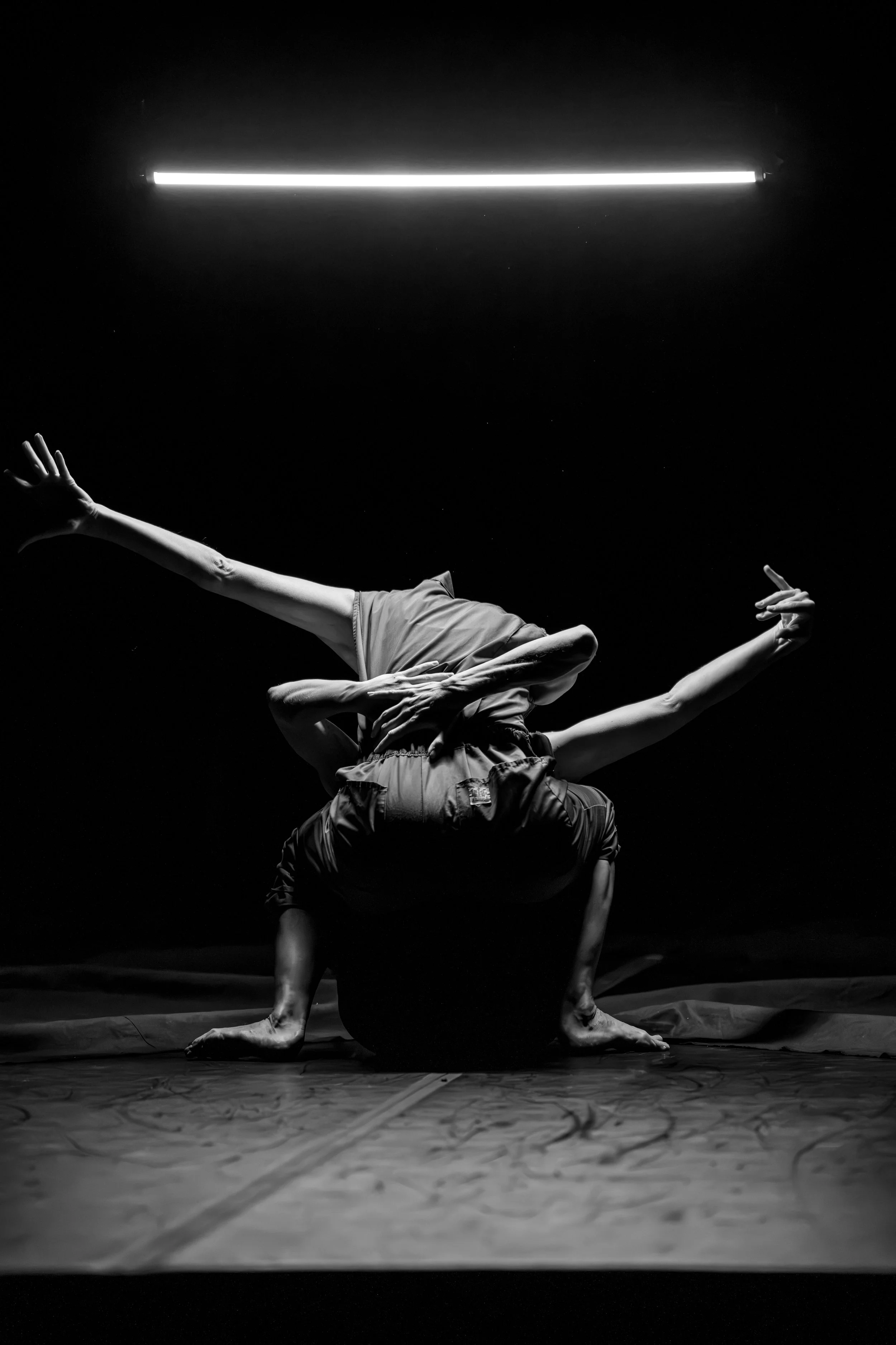 CDW-3 Michaela Ellingson.jpg