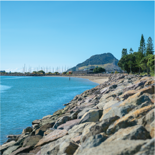 A rocky shoreline along a calm body of water with a mountain, trees, and clear blue sky in the background.