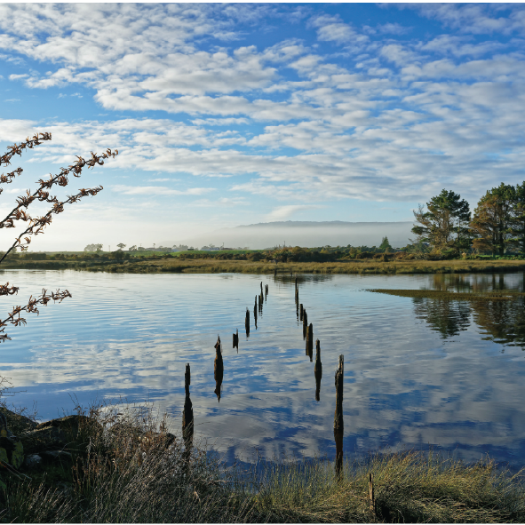 A serene river landscape with a clear blue sky, white clouds, and distant trees reflected in the water. Old wooden posts line the river's edge.