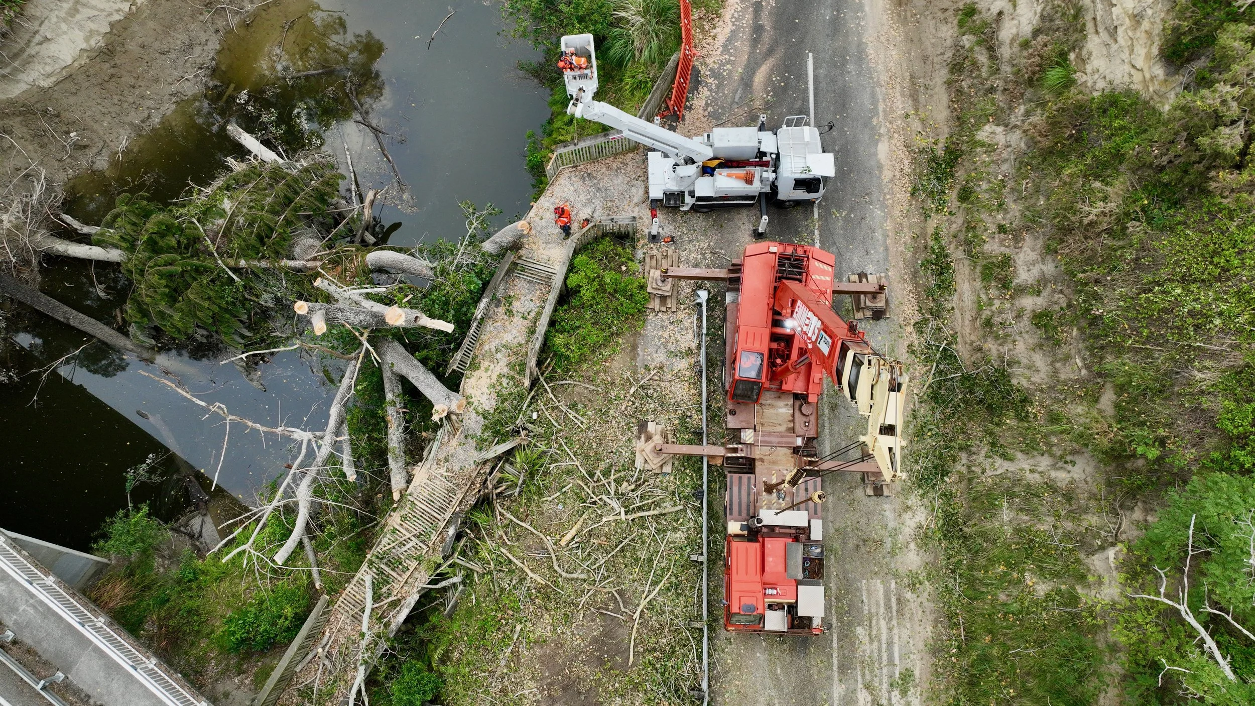 An aerial view shows a construction scene with a large crane lifting a fallen tree down to a gravel area. Workers are present, and construction equipment is in the scene. A body of water is visible on the left side of the image, with some debris and trees near the water.