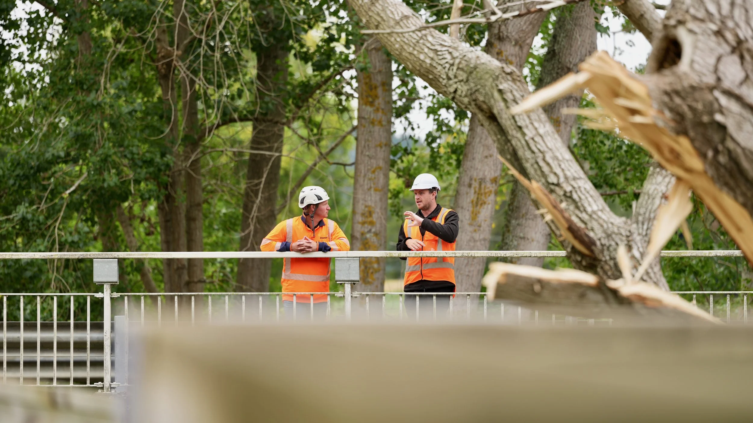 Two arborists in orange safety vests and white helmets talking on a bridge next to a large fallen tree in a forest.