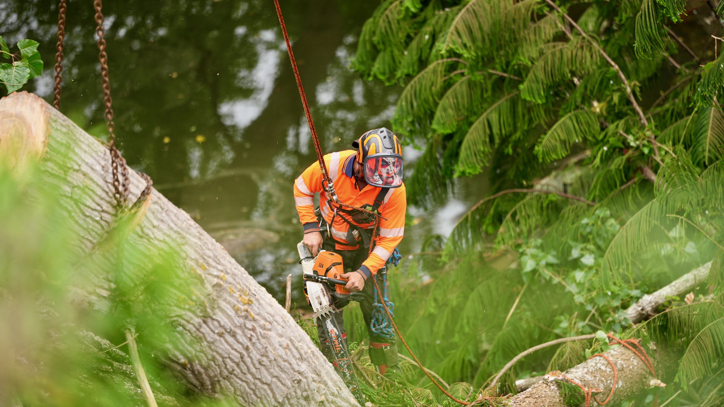 Worker in orange safety gear and helmet using a chainsaw to cut a fallen tree near a body of water surrounded by lush green foliage.