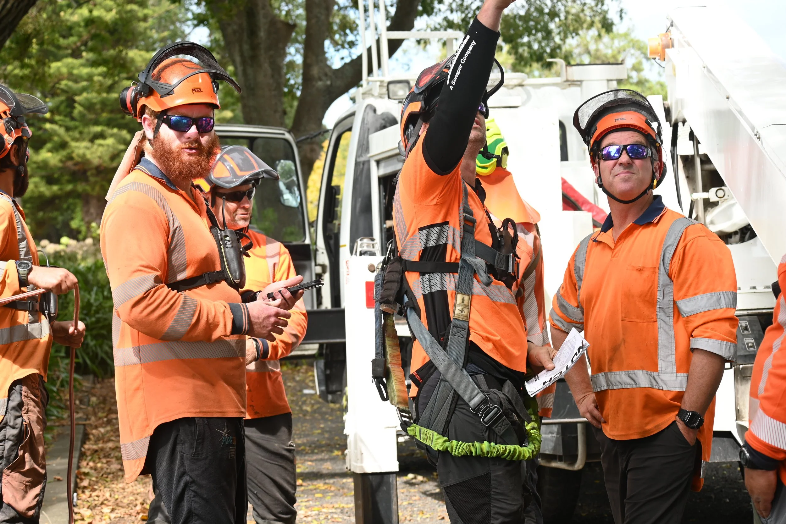 Group of forestry workers in orange safety shirts and helmets, engaging in a discussion outdoors near a utility truck, with trees and a clear sky in the background.
