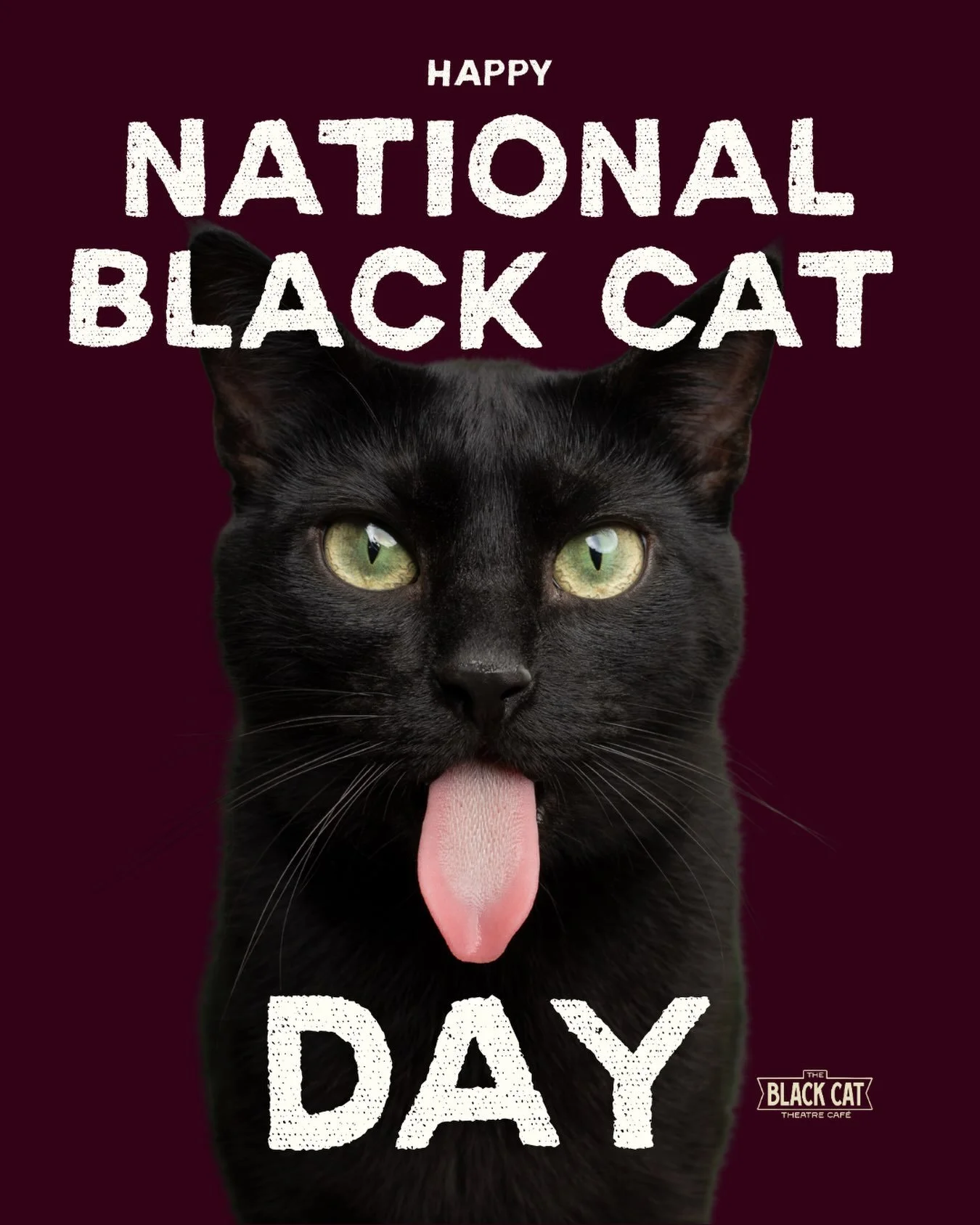 HAPPY NATIONAL BLACK CAT DAY!!!

If you see Mac today&hellip; let us know. 💫

#Blackcatday