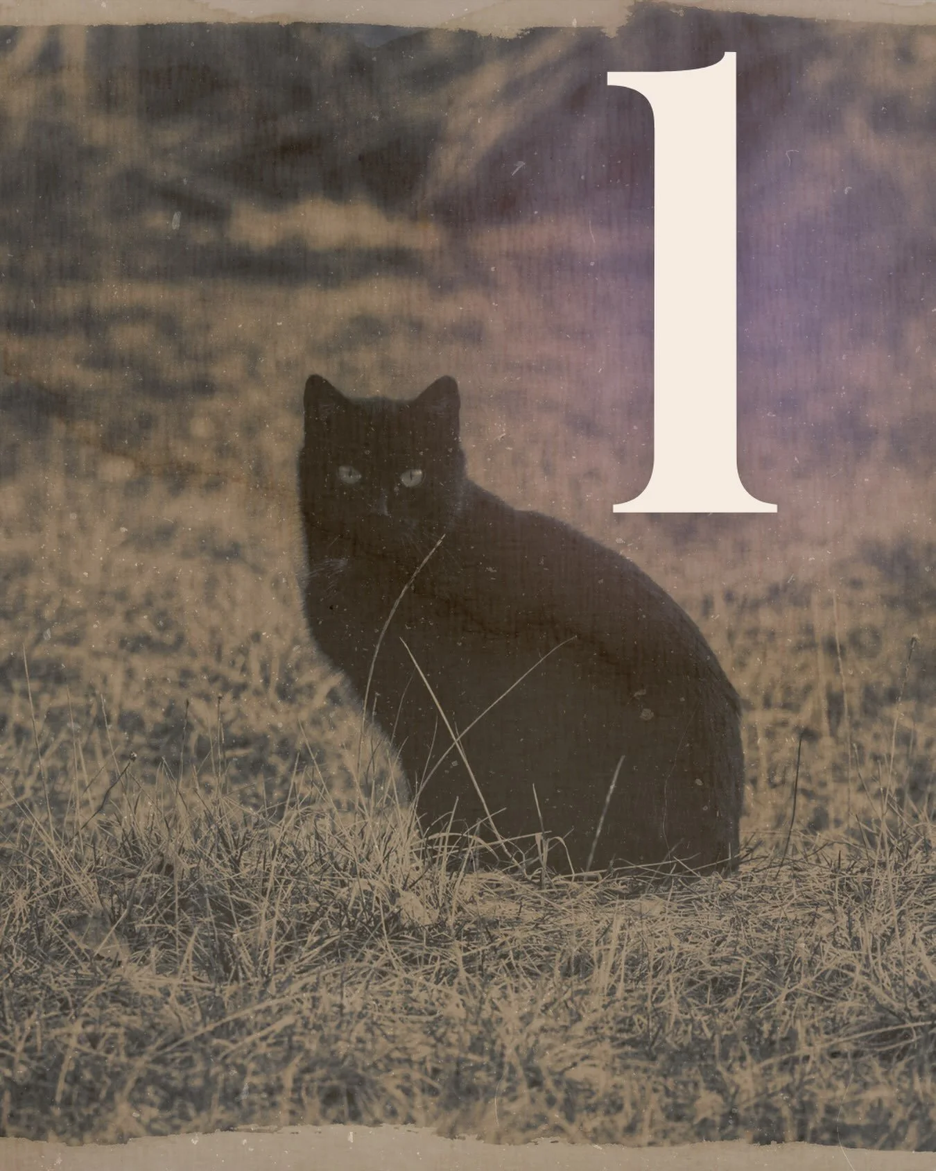 Tomorrow.

The Black Cat Theatre Cafe Grand Opening.
@the66kicks sold out! 

More shows at Blackcattulsa.com 🎟️